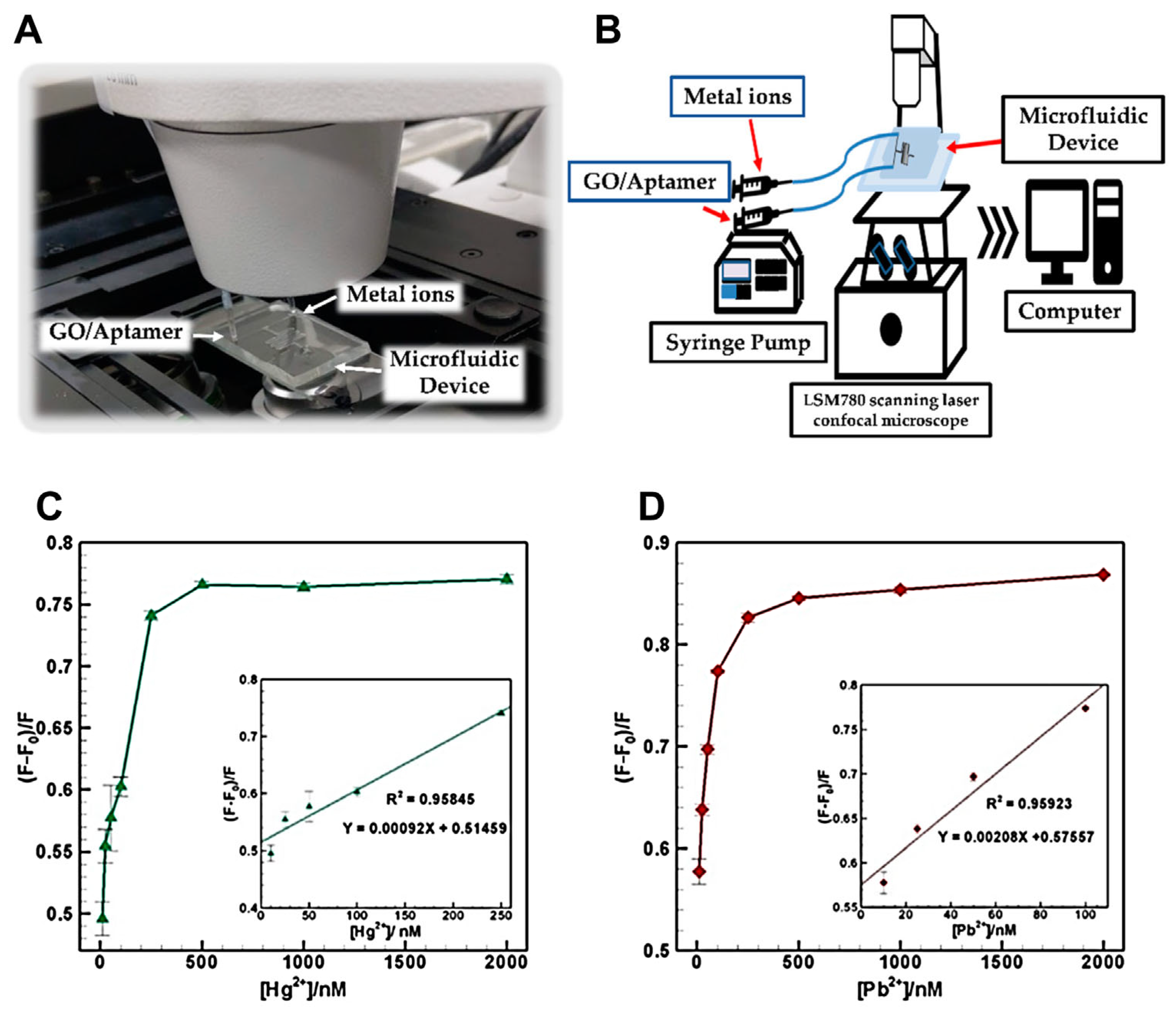 Biosensors 15 00474 g006