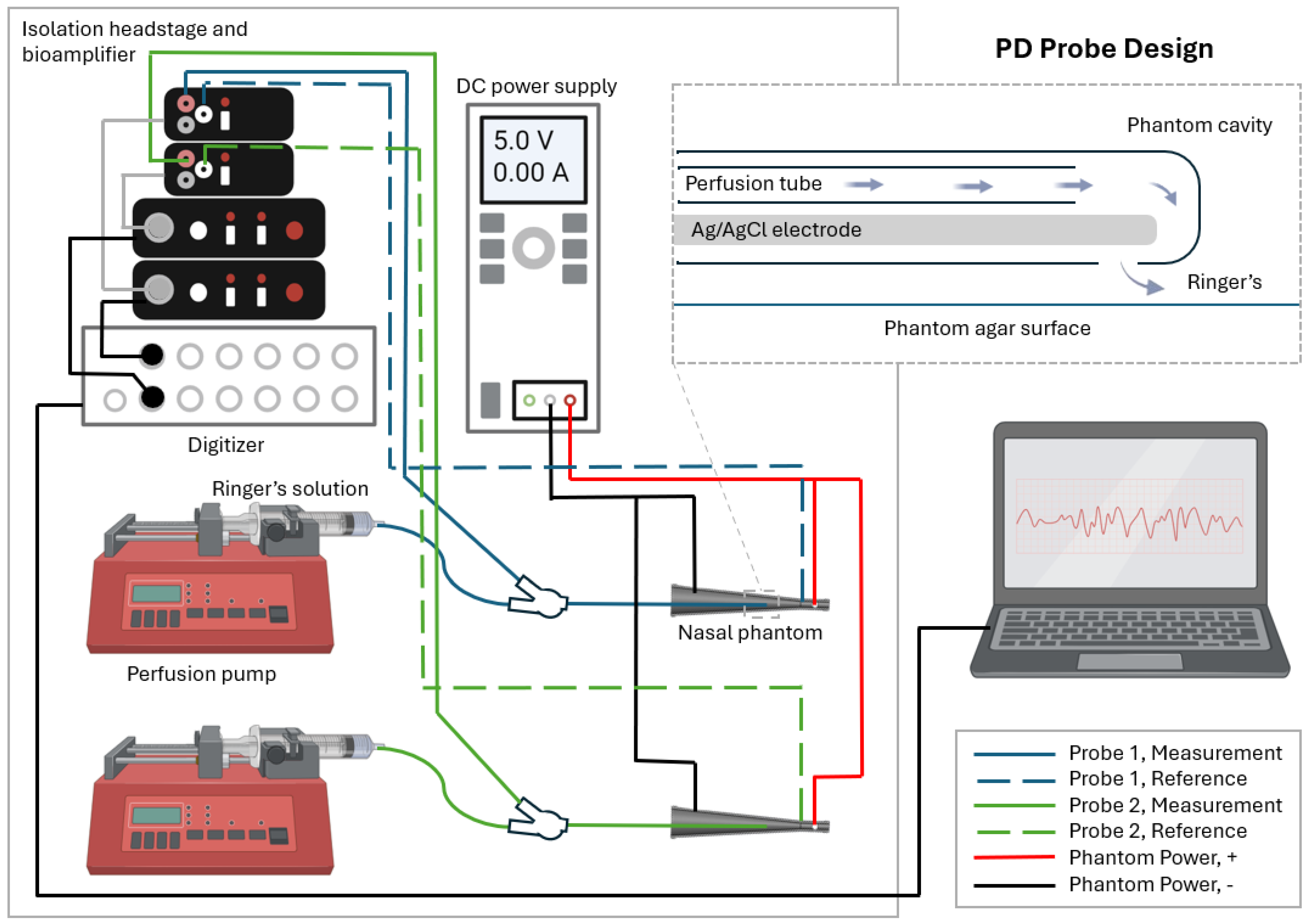 Biosensors 15 00478 g001