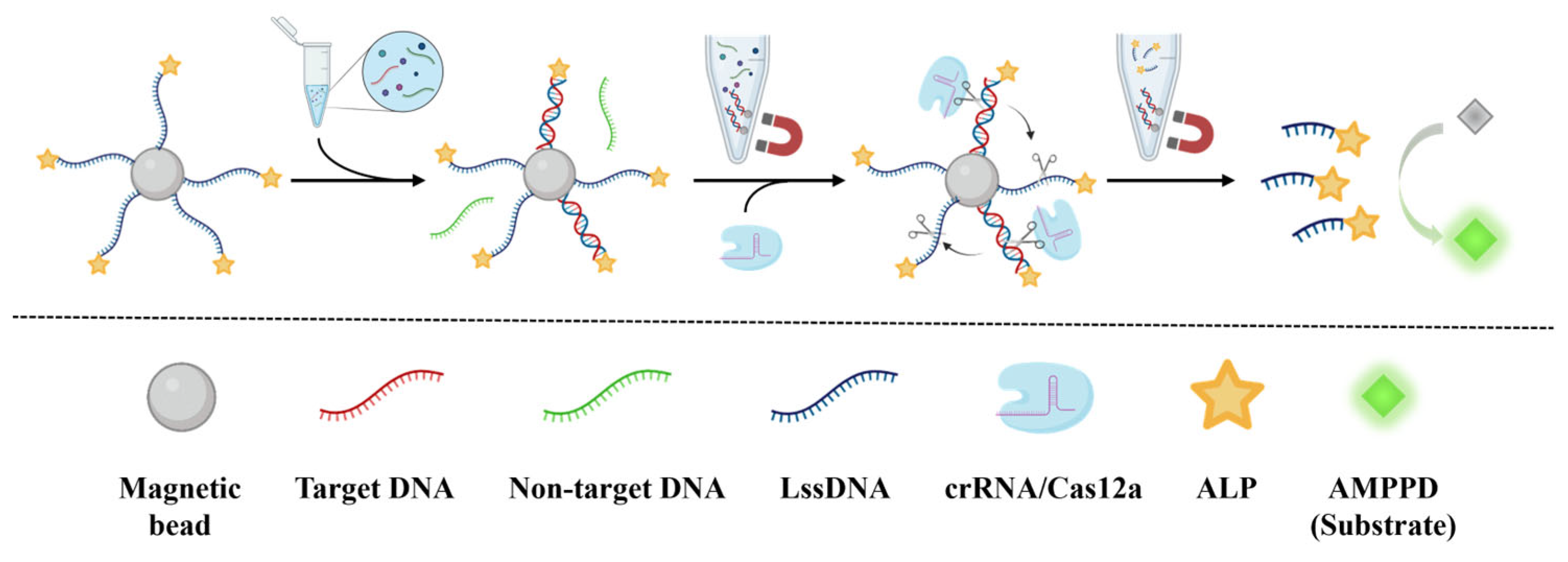 Biosensors 15 00479 g001