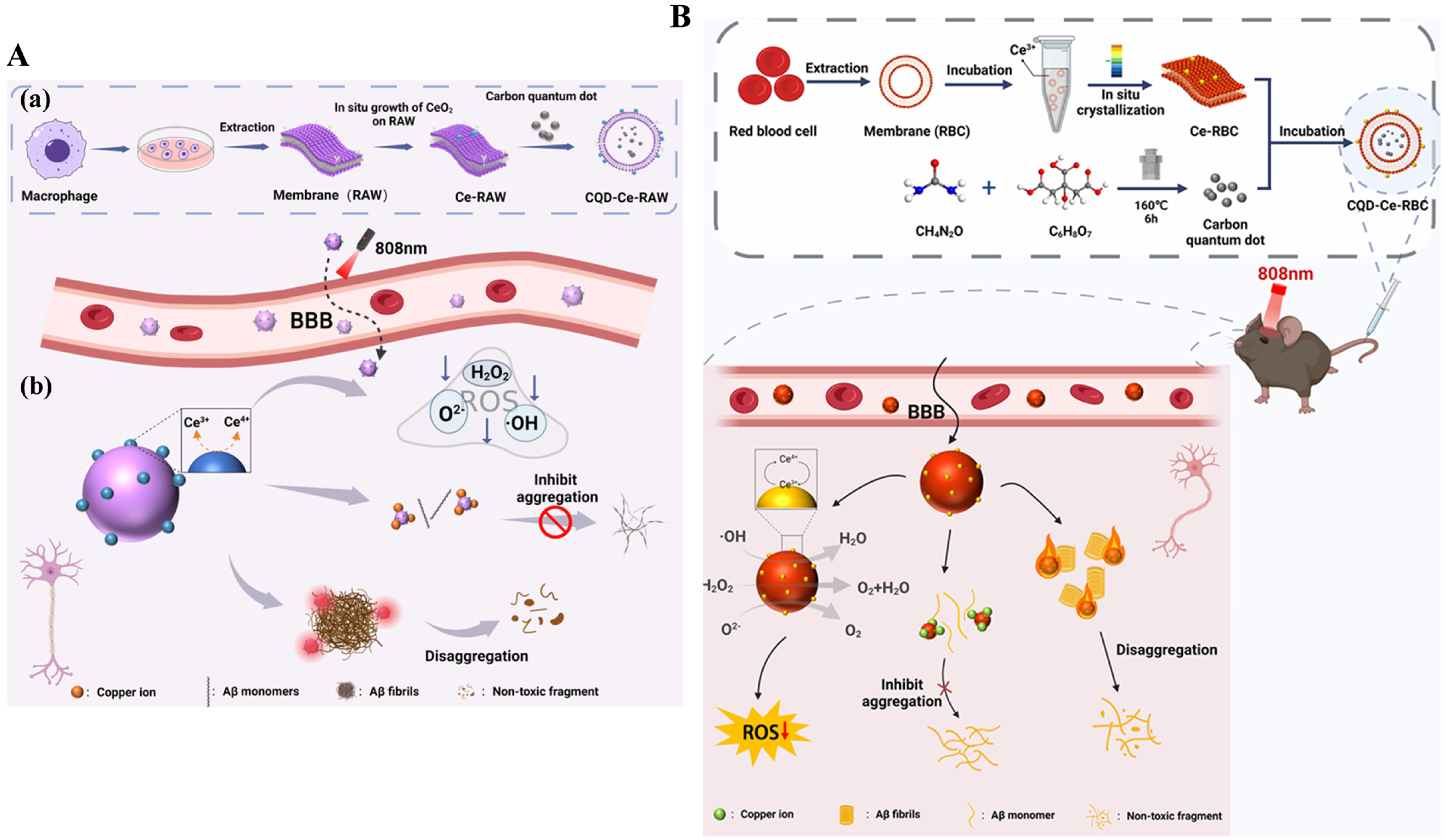 Biosensors 15 00480 g004 Biosensors 15 00480 g004