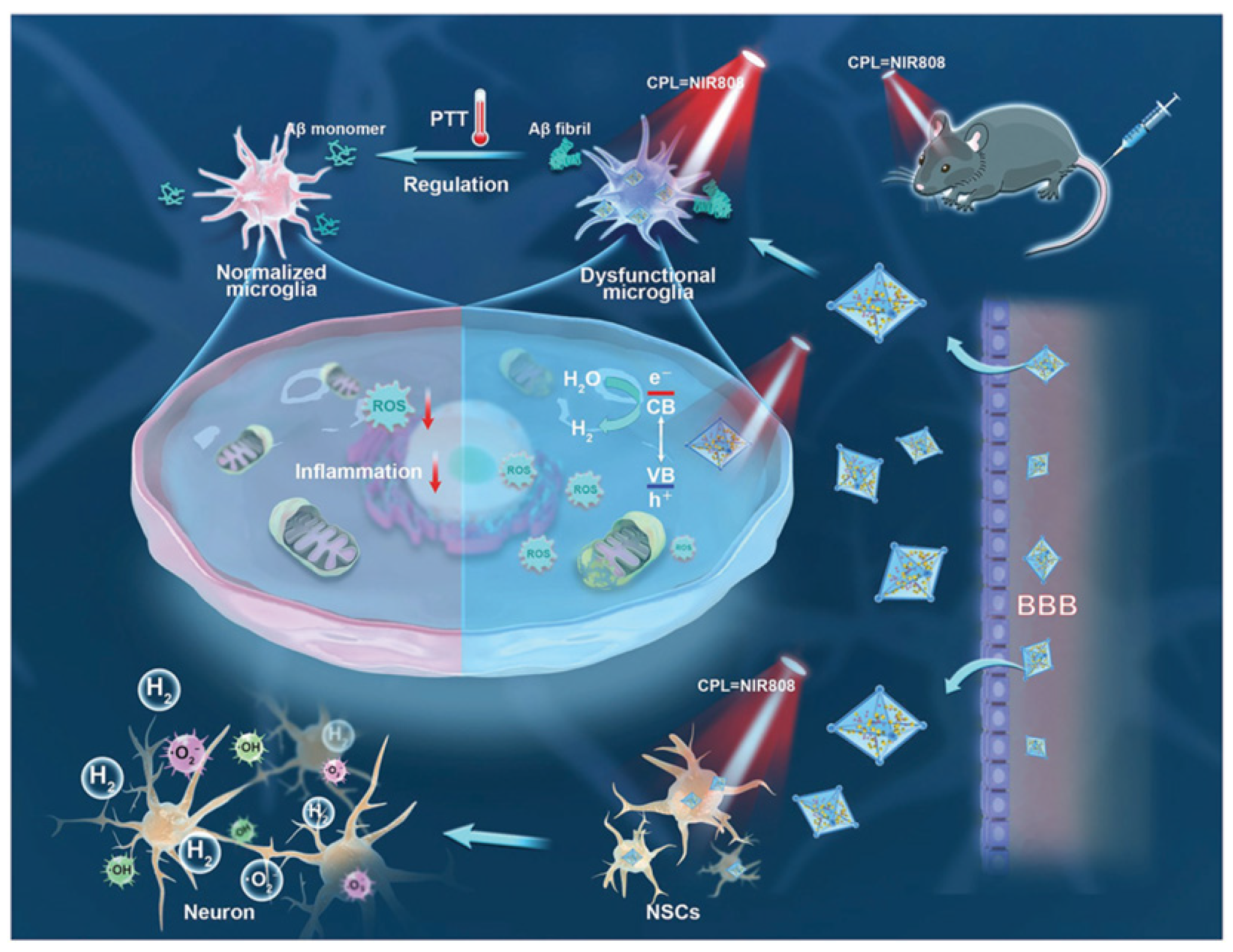 Biosensors 15 00480 g009 Biosensors 15 00480 g009