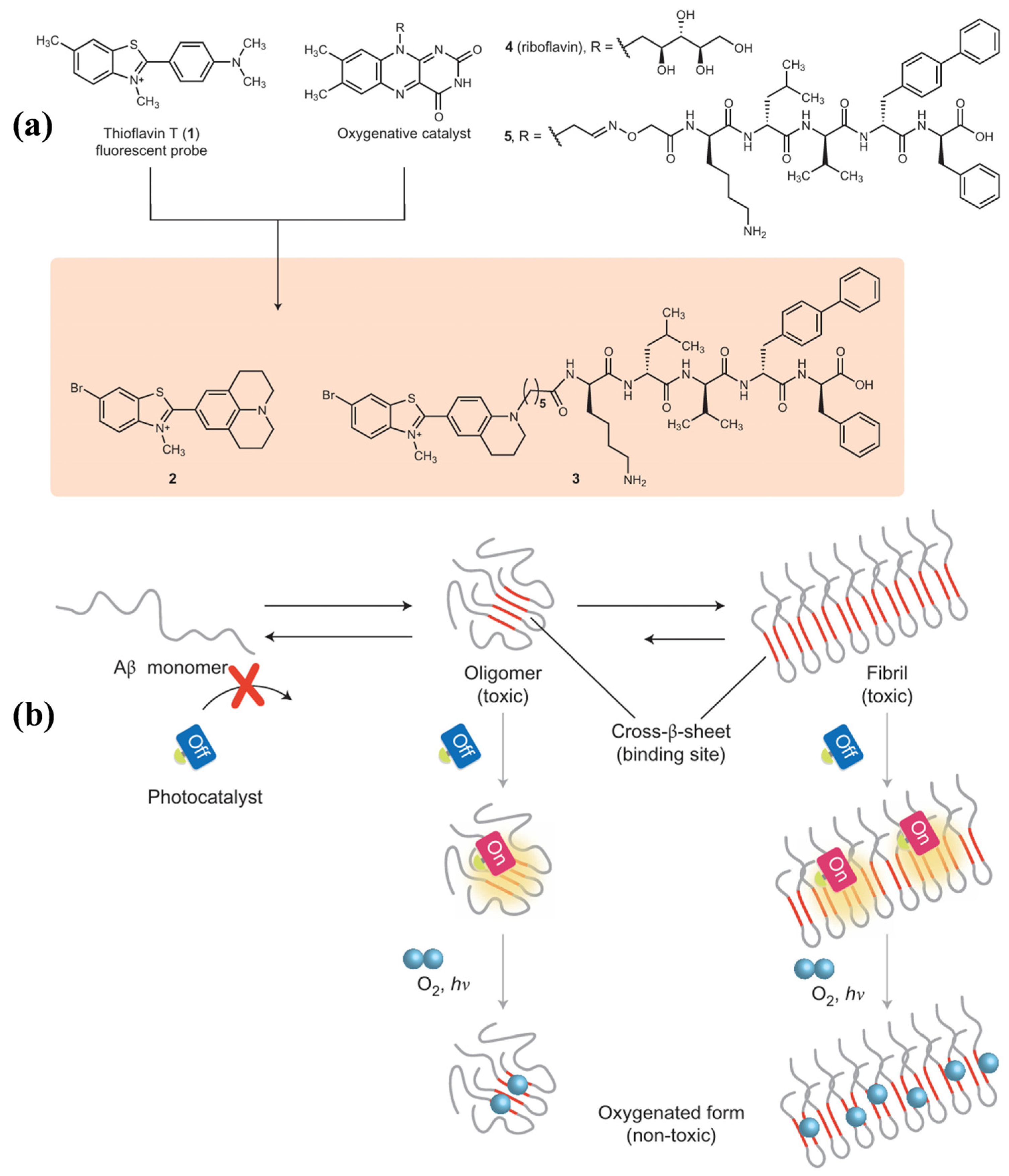 Biosensors 15 00480 g013 Biosensors 15 00480 g013