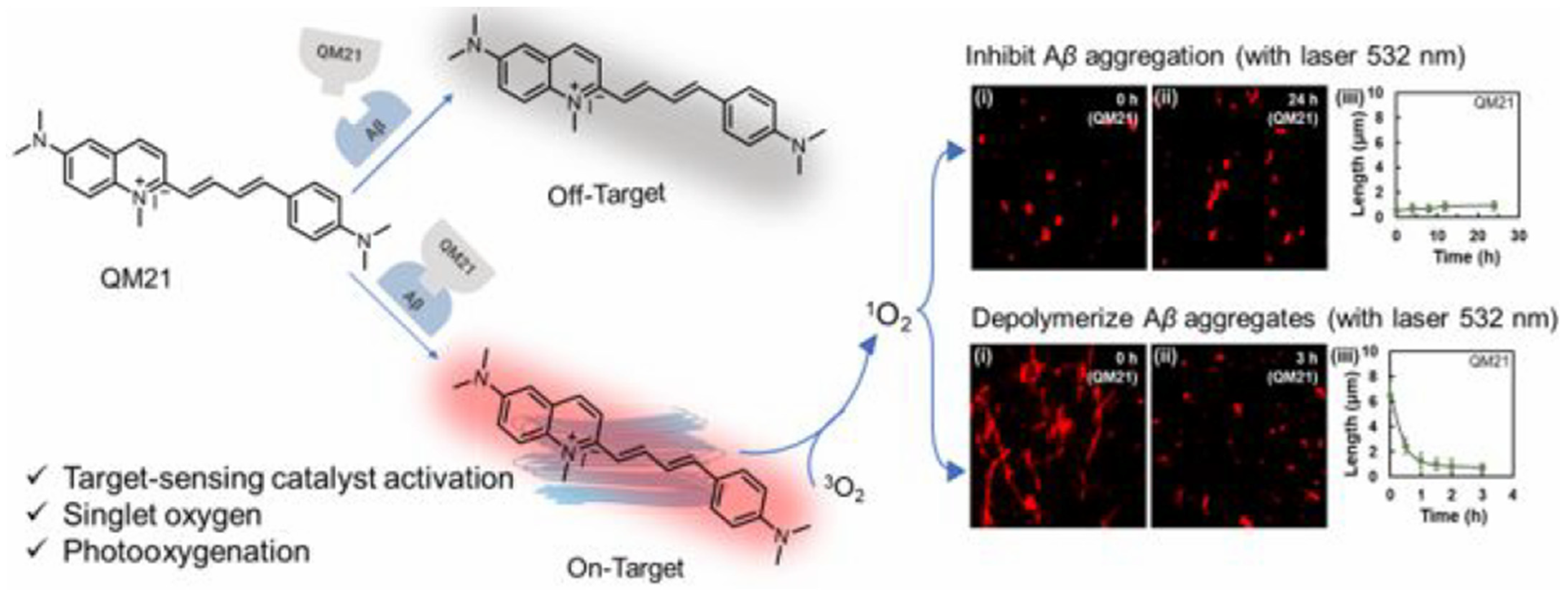 Biosensors 15 00480 g015 Biosensors 15 00480 g015