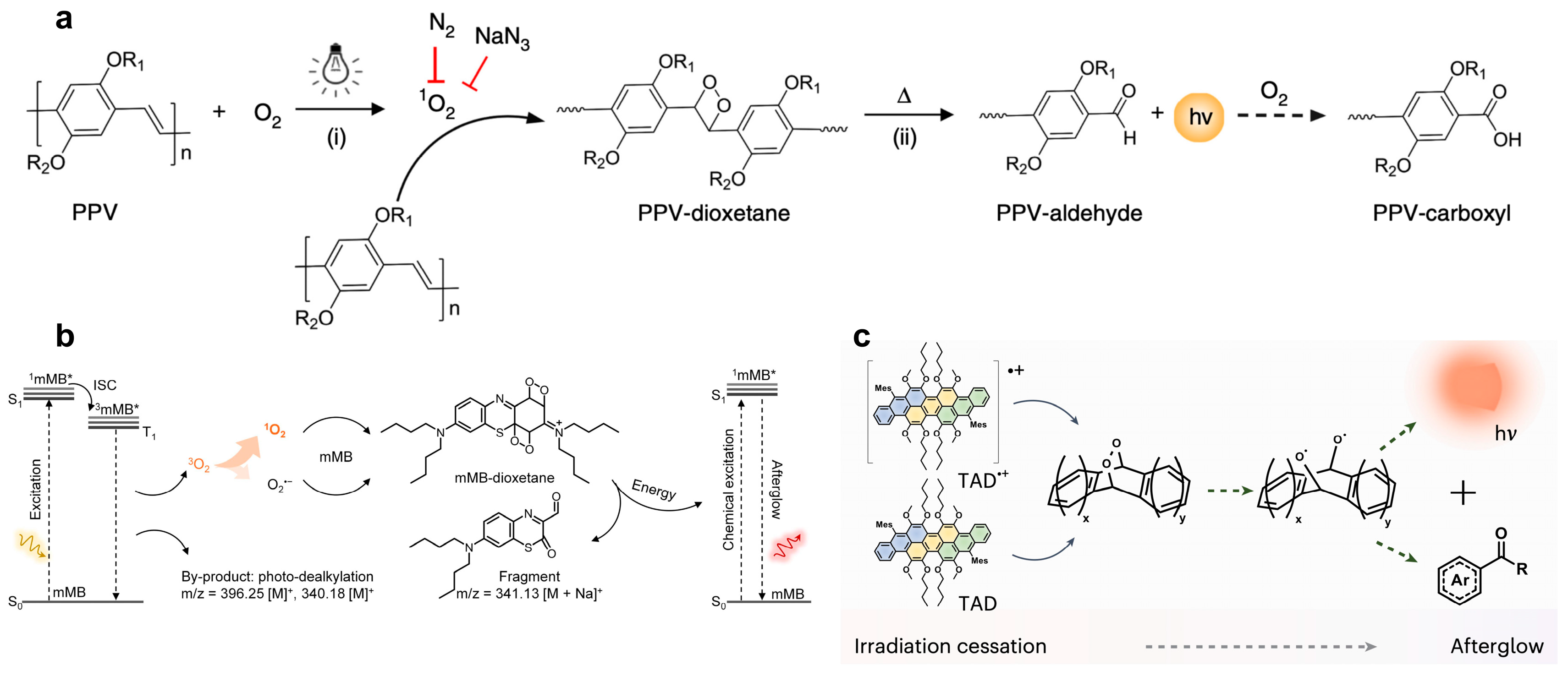 Biosensors 15 00484 g001