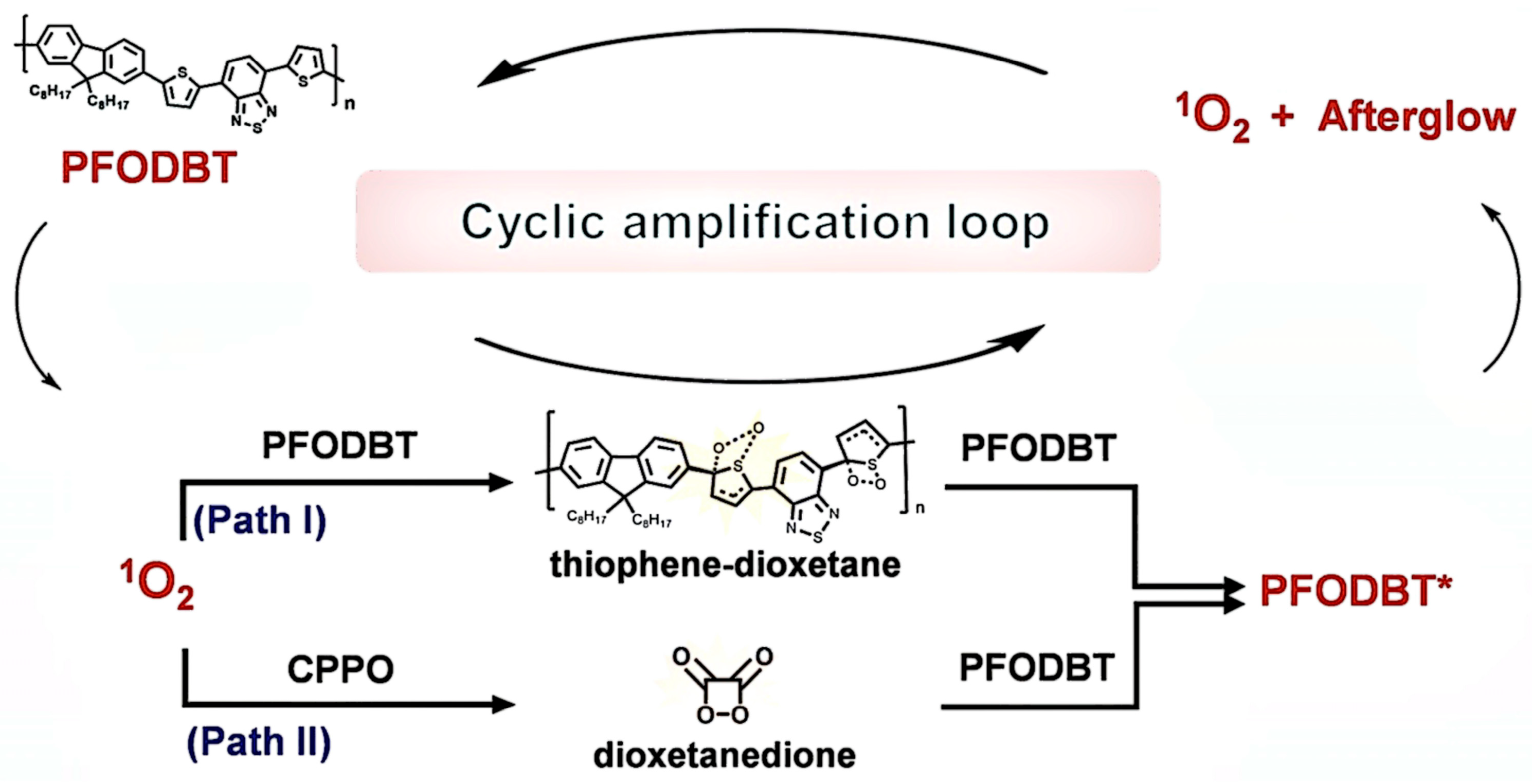 Biosensors 15 00484 g002