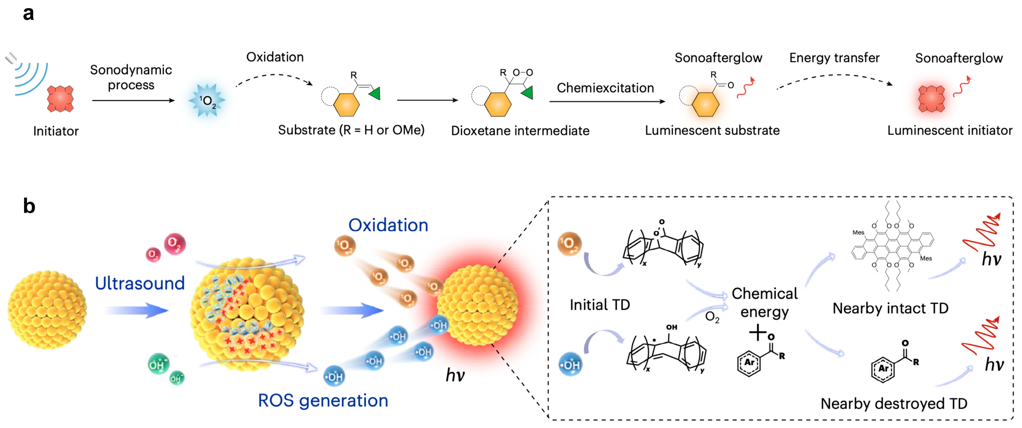Biosensors 15 00484 g003