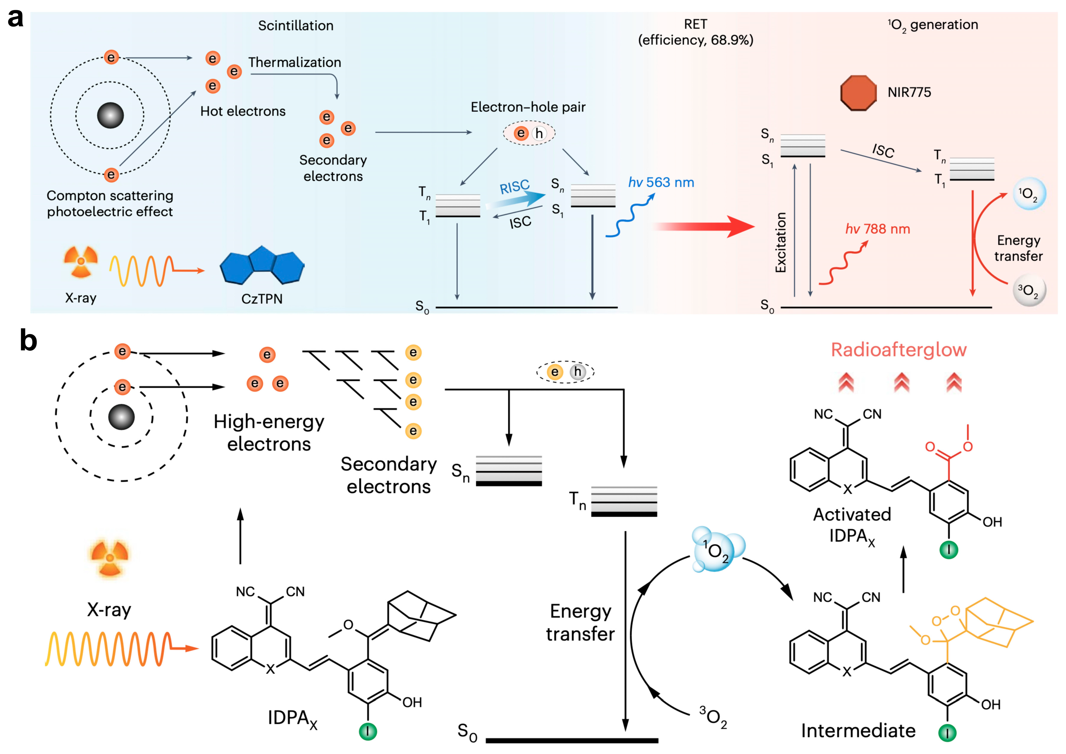 Biosensors 15 00484 g004