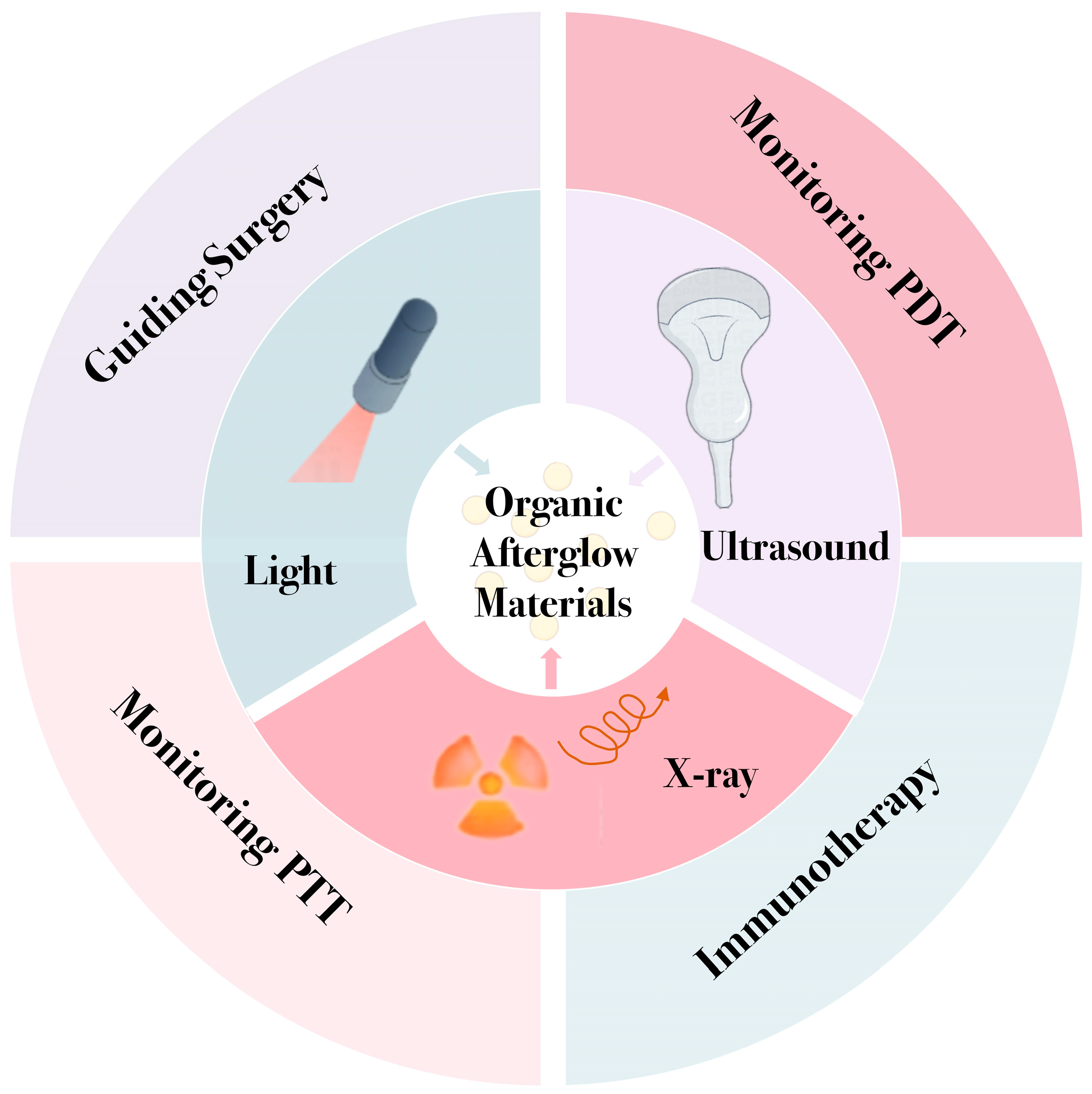 Biosensors 15 00484 sch001