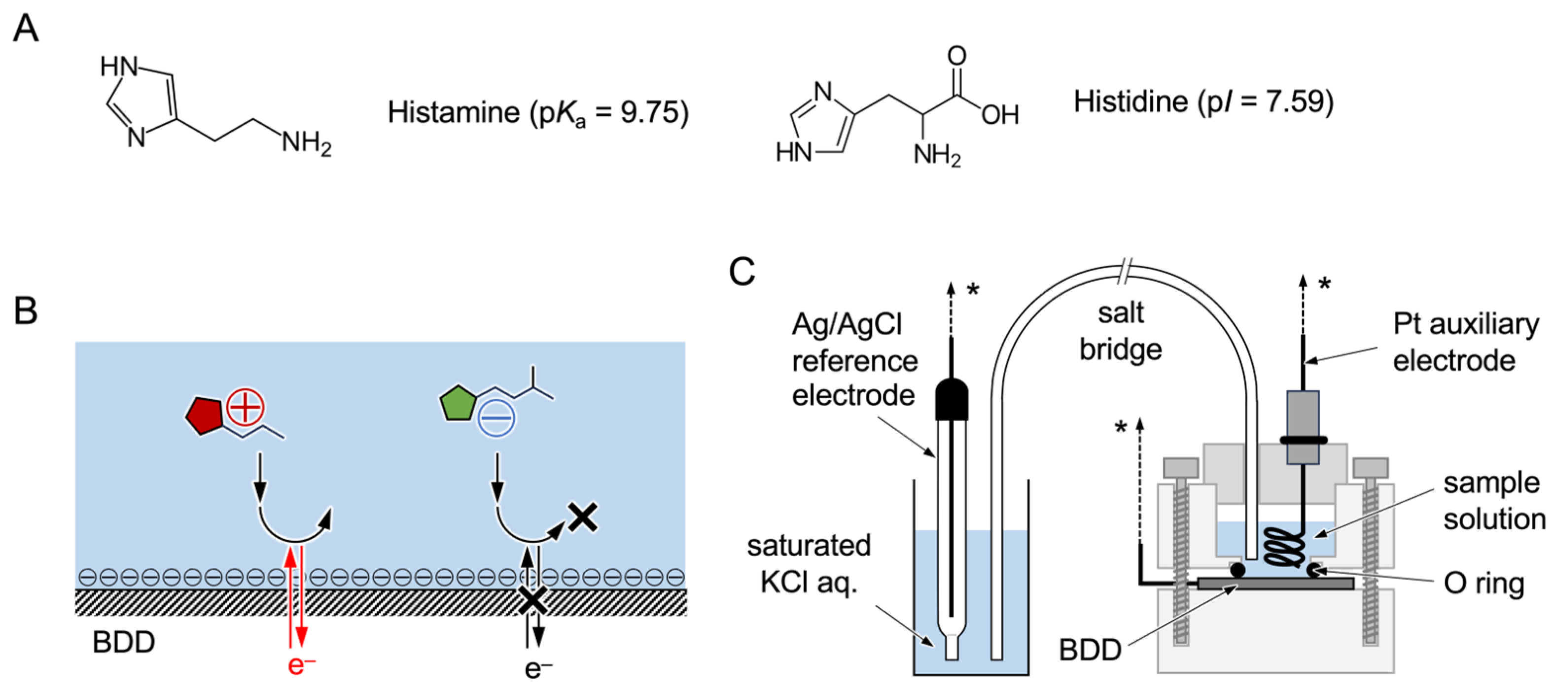 Biosensors 15 00489 sch001 Biosensors 15 00489 sch001