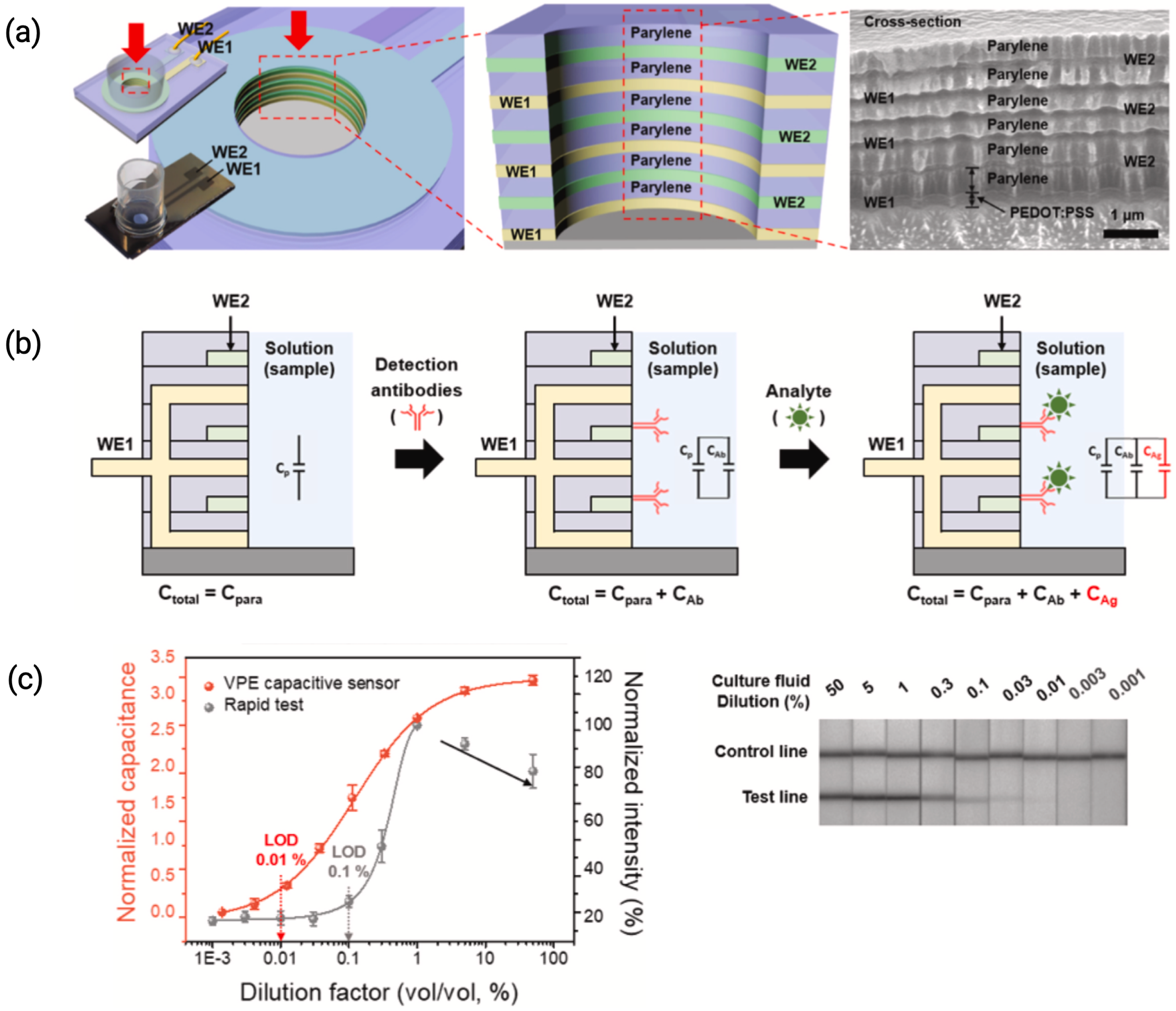Biosensors 15 00491 g006 Biosensors 15 00491 g006