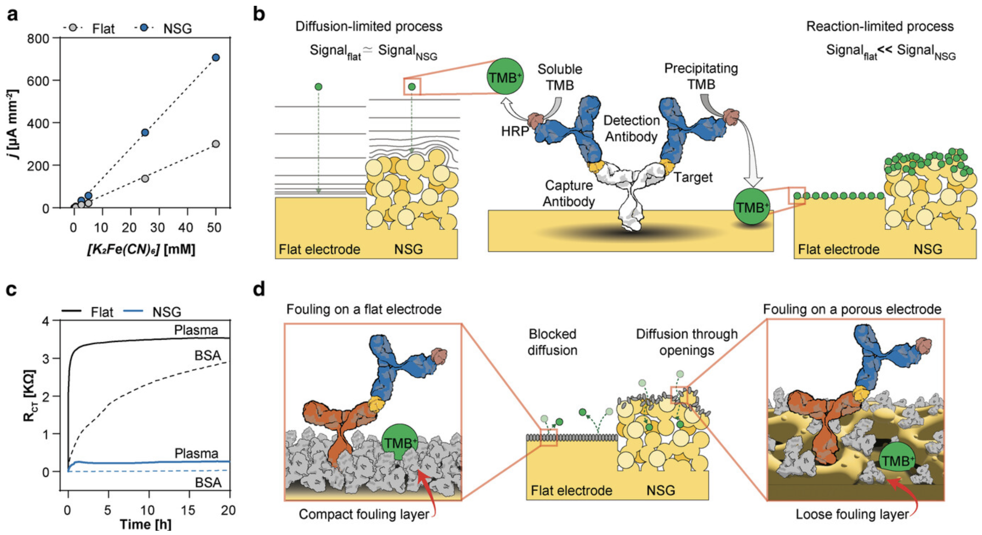 Biosensors 15 00491 g007 Biosensors 15 00491 g007