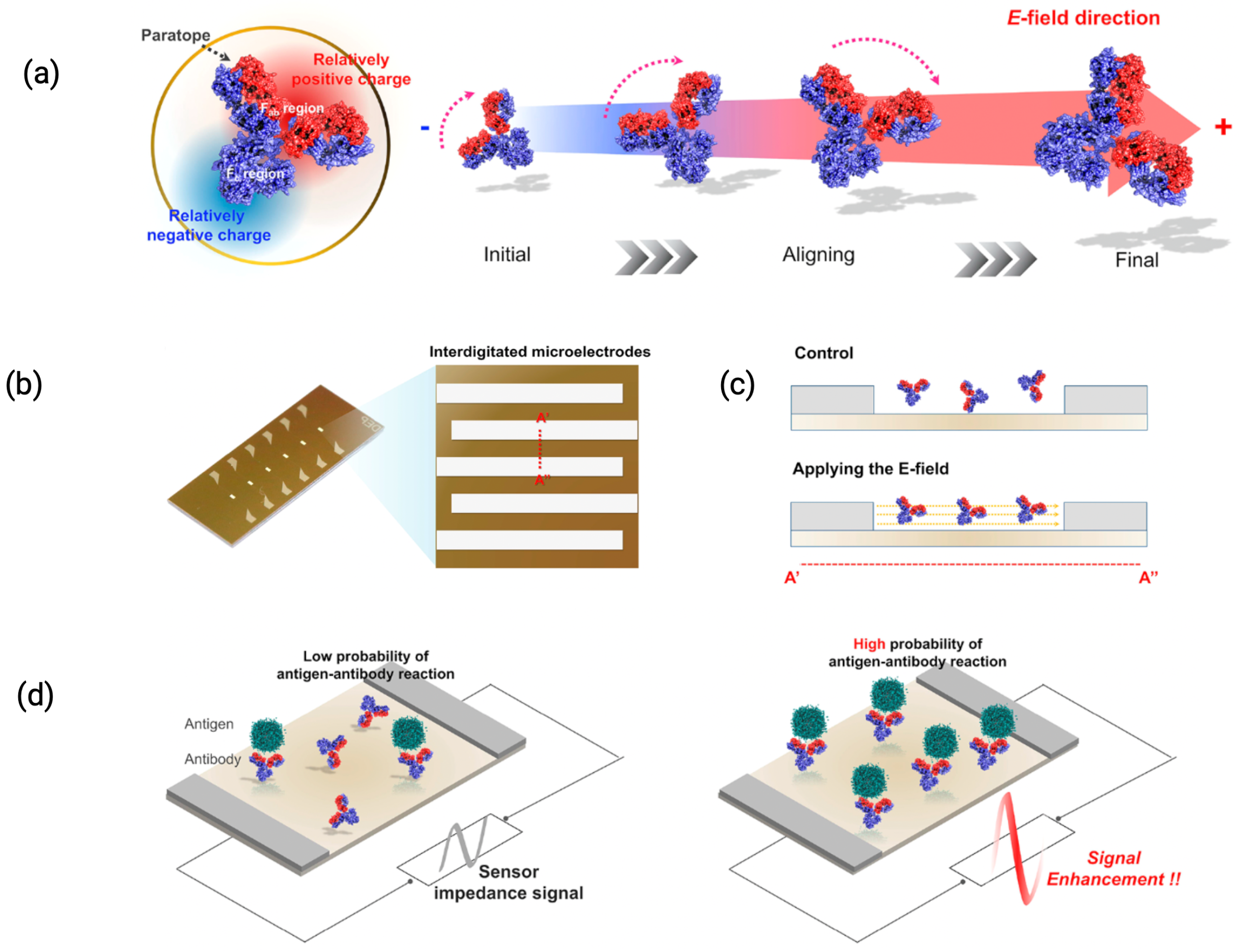 Biosensors 15 00491 g008 Biosensors 15 00491 g008