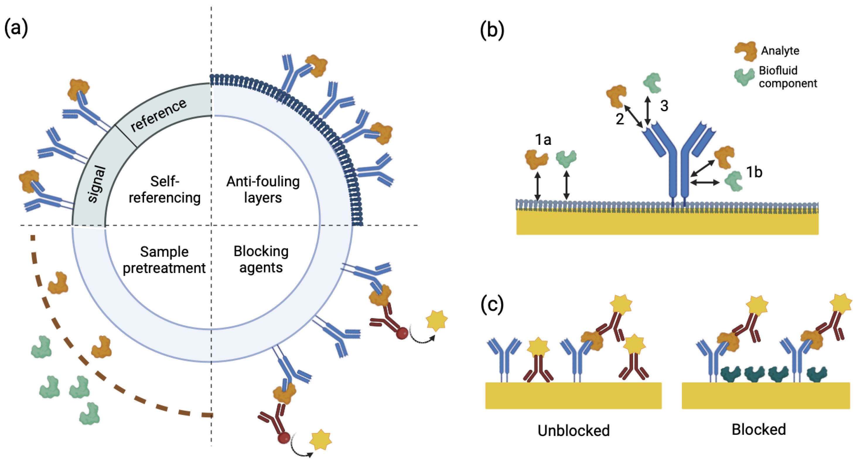 Biosensors 15 00491 g009 Biosensors 15 00491 g009