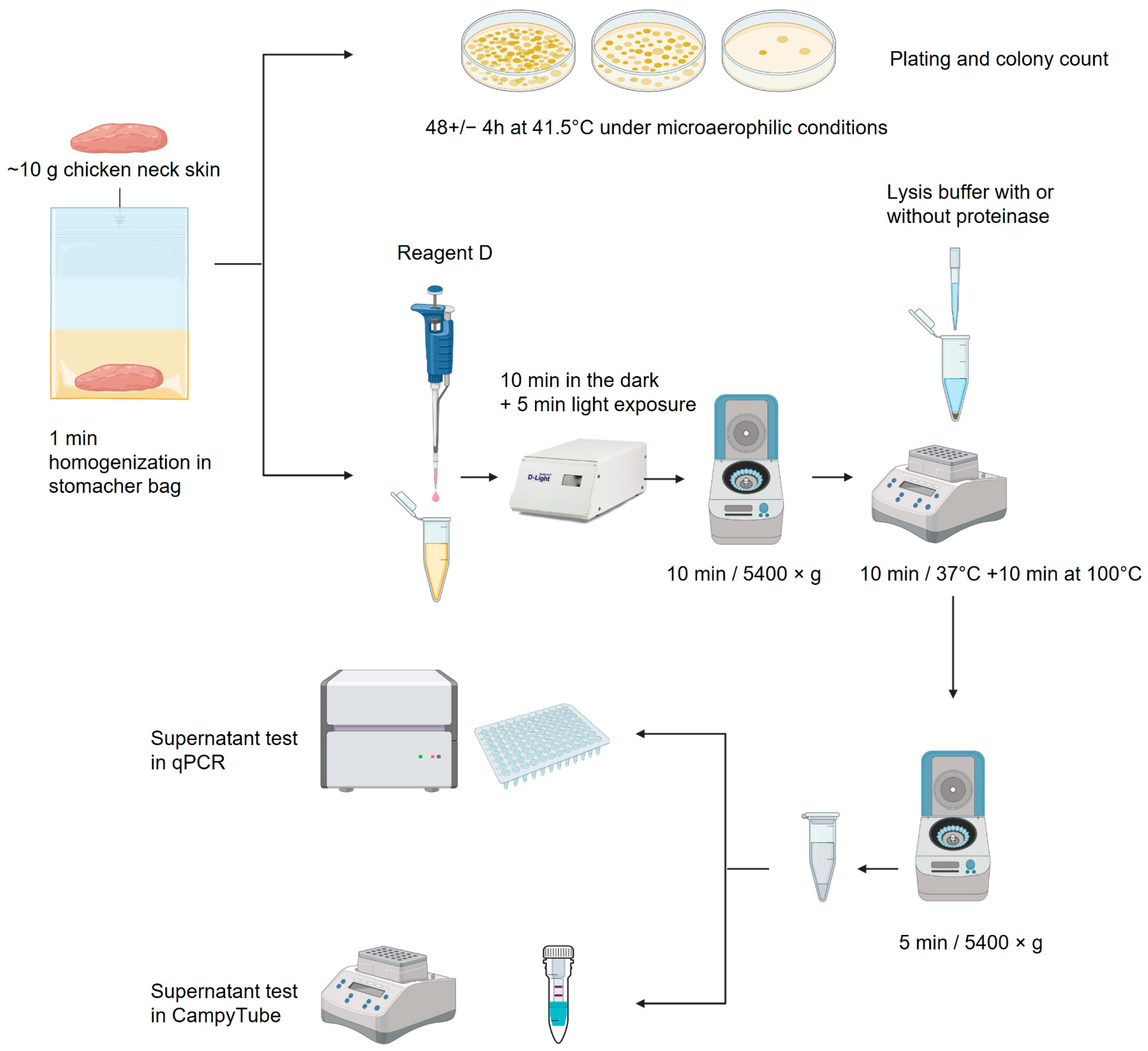 Biosensors 15 00497 g001