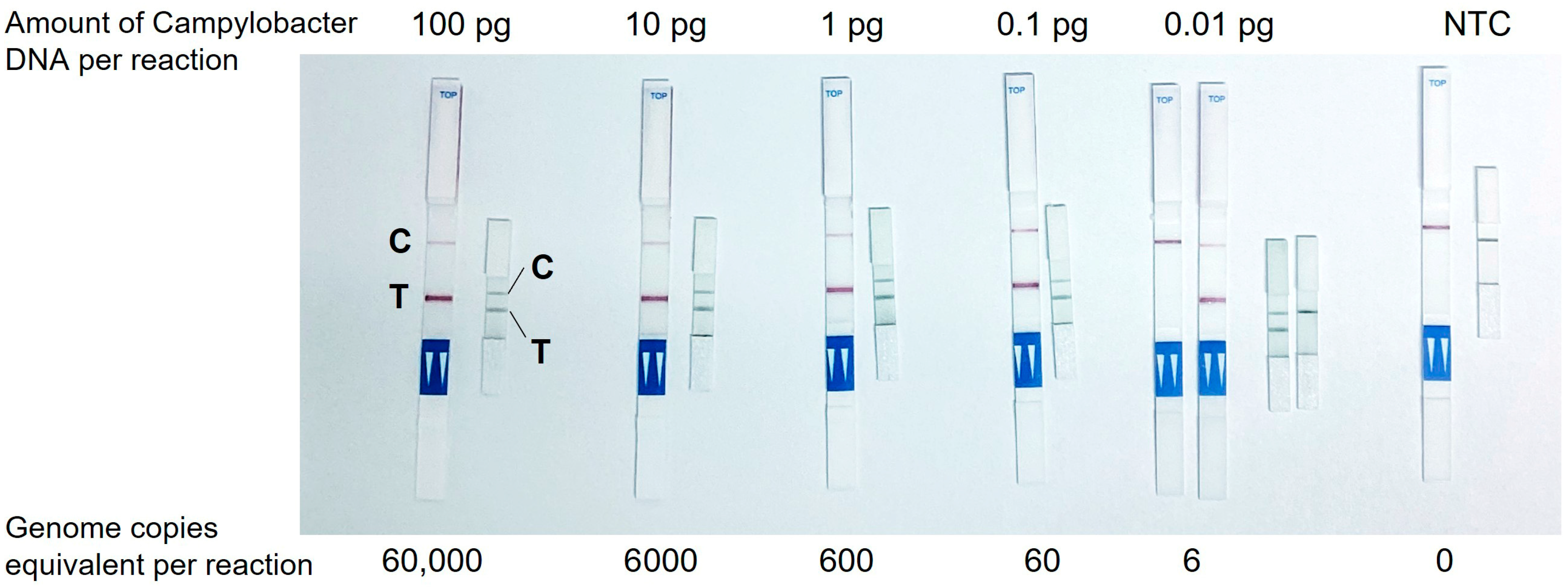 Biosensors 15 00497 g002