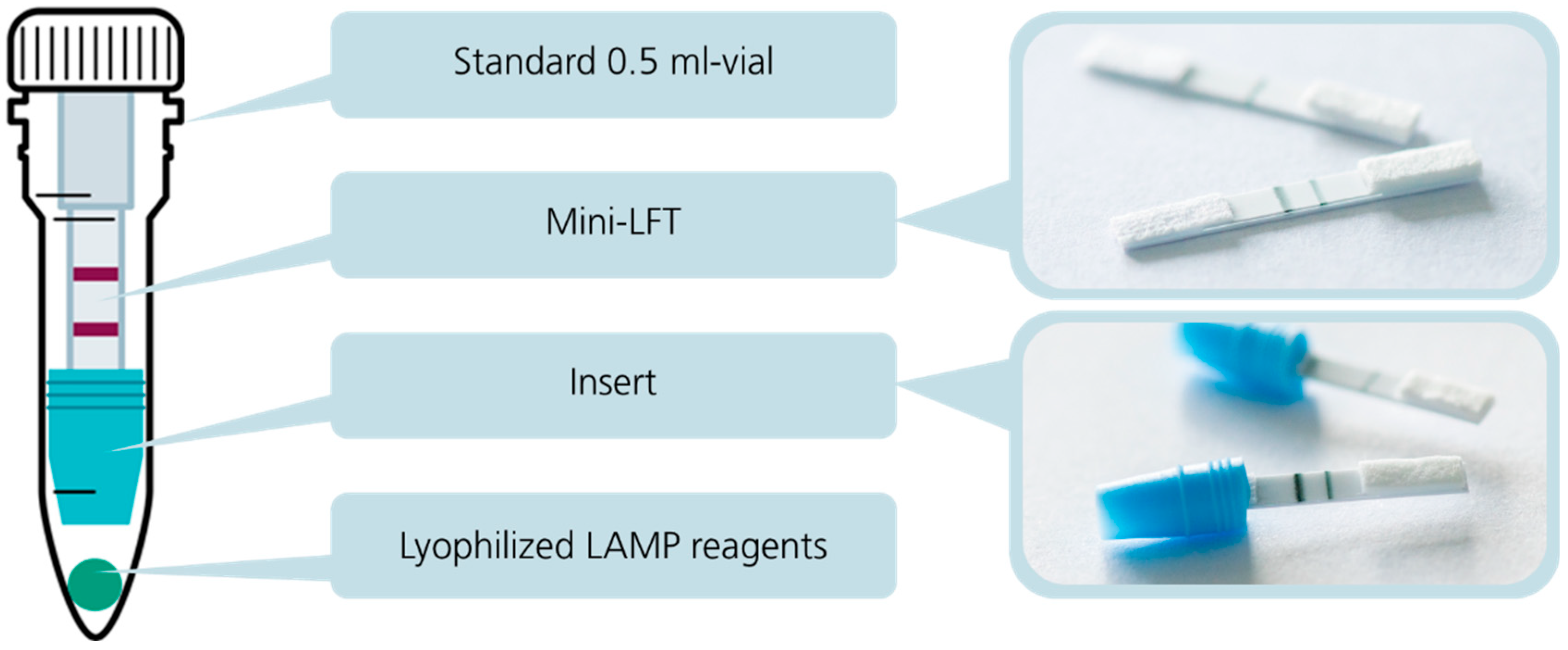 Biosensors 15 00497 g003