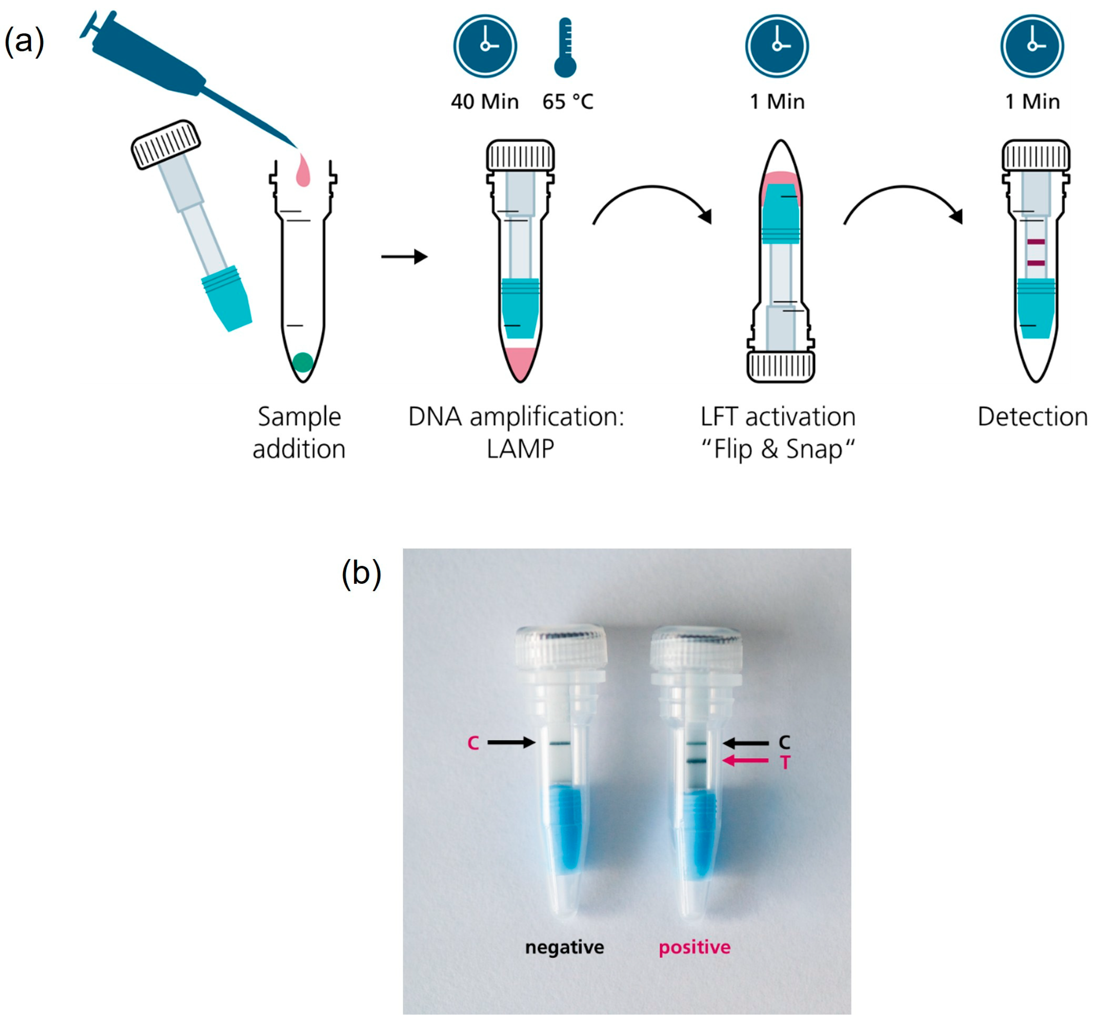 Biosensors 15 00497 g004