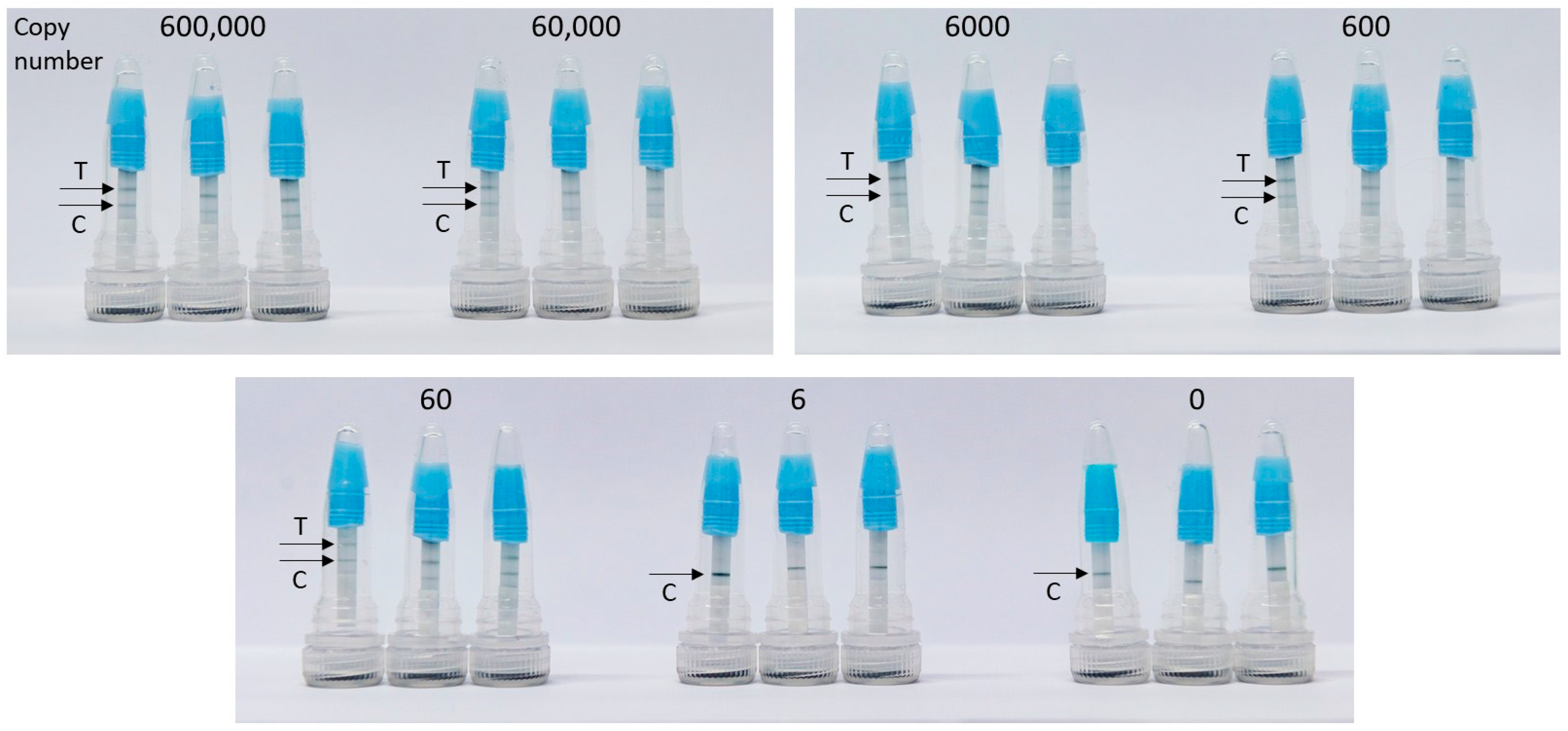 Biosensors 15 00497 g005