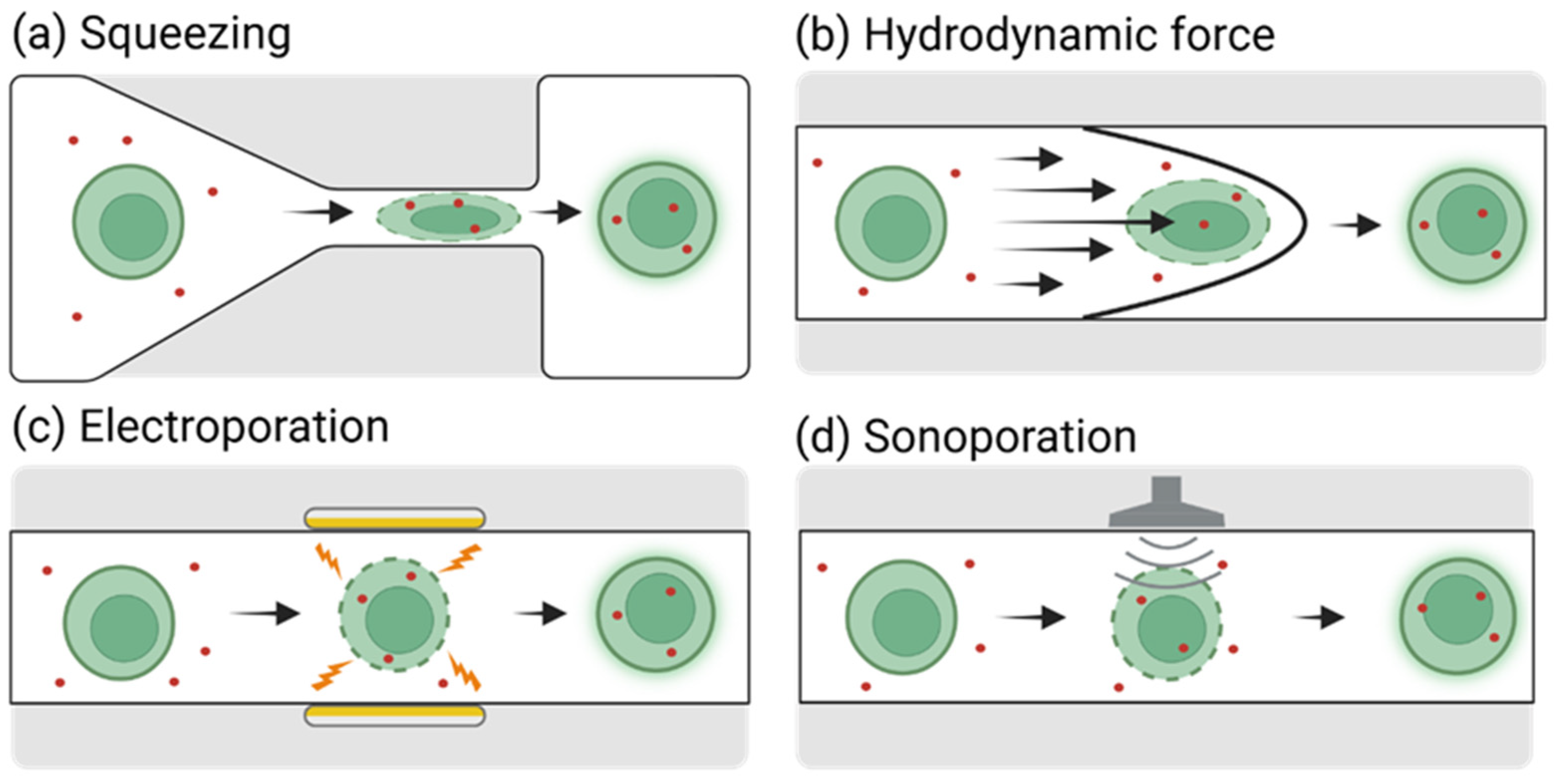Biosensors 15 00504 g001