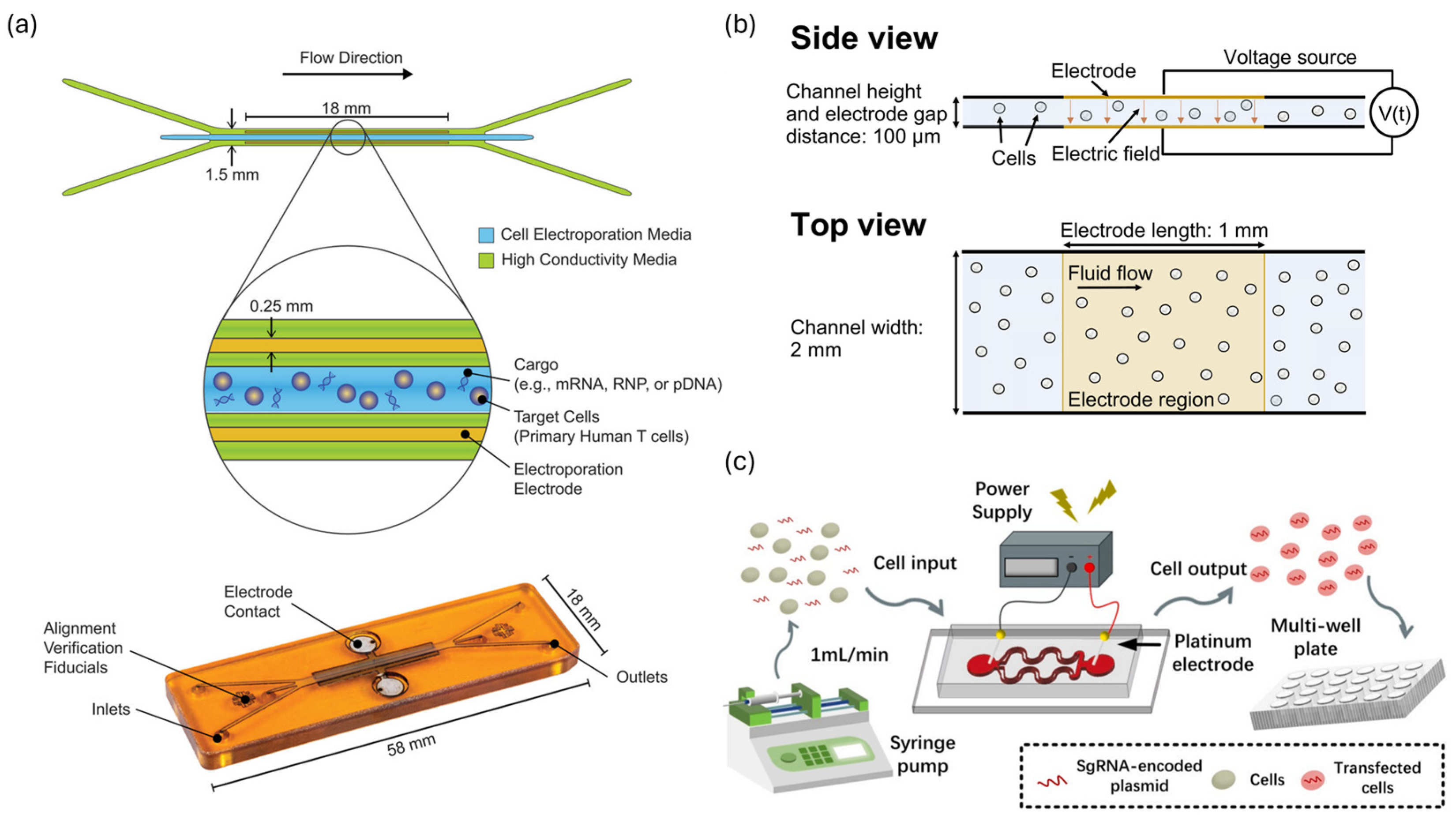 Biosensors 15 00504 g005