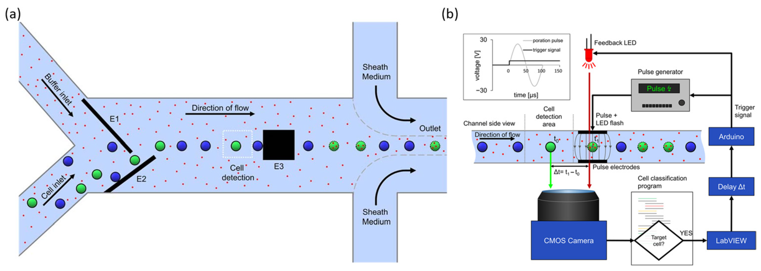 Biosensors 15 00504 g006
