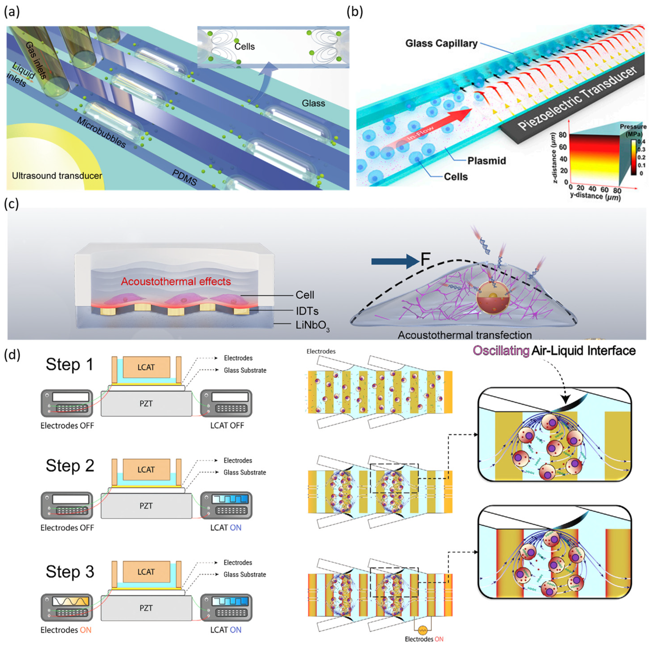 Biosensors 15 00504 g007