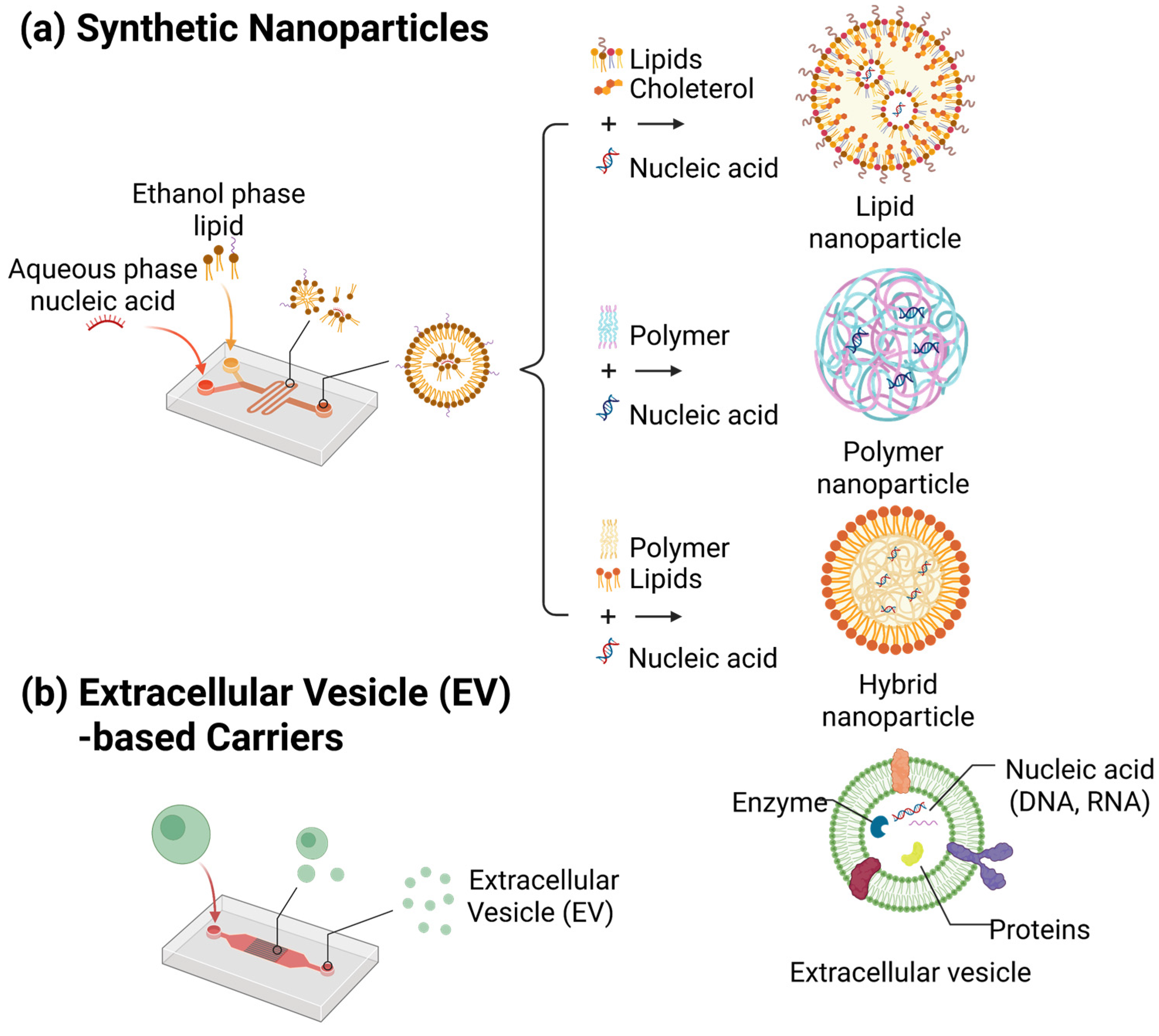 Biosensors 15 00504 g008