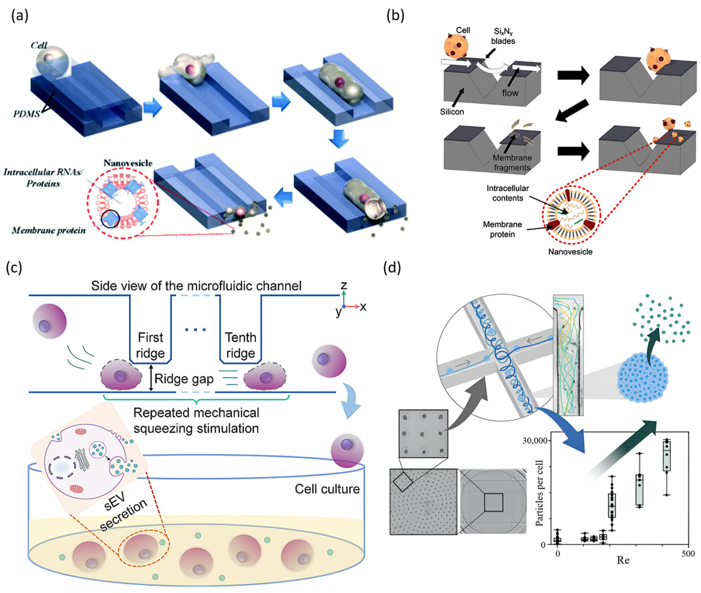 Biosensors 15 00504 g010