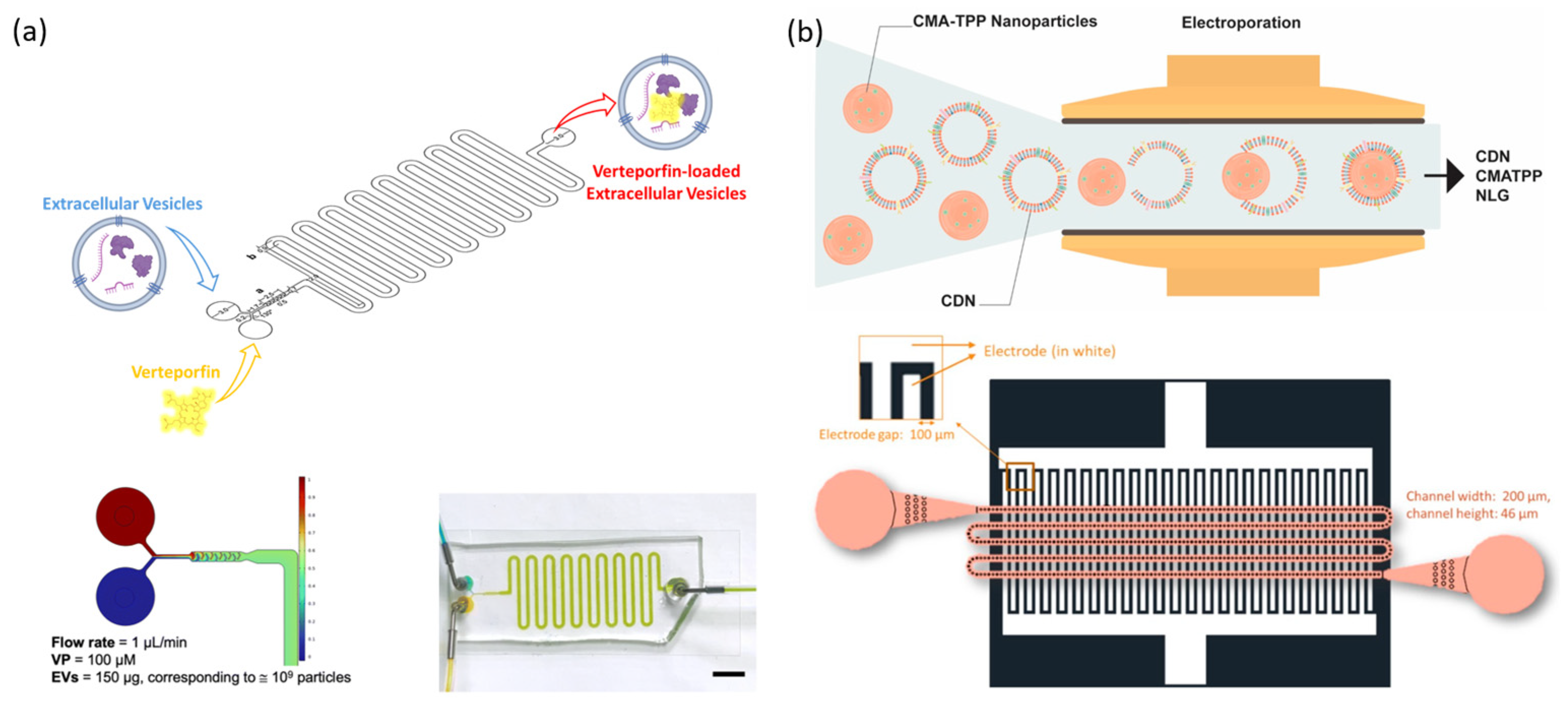Biosensors 15 00504 g011