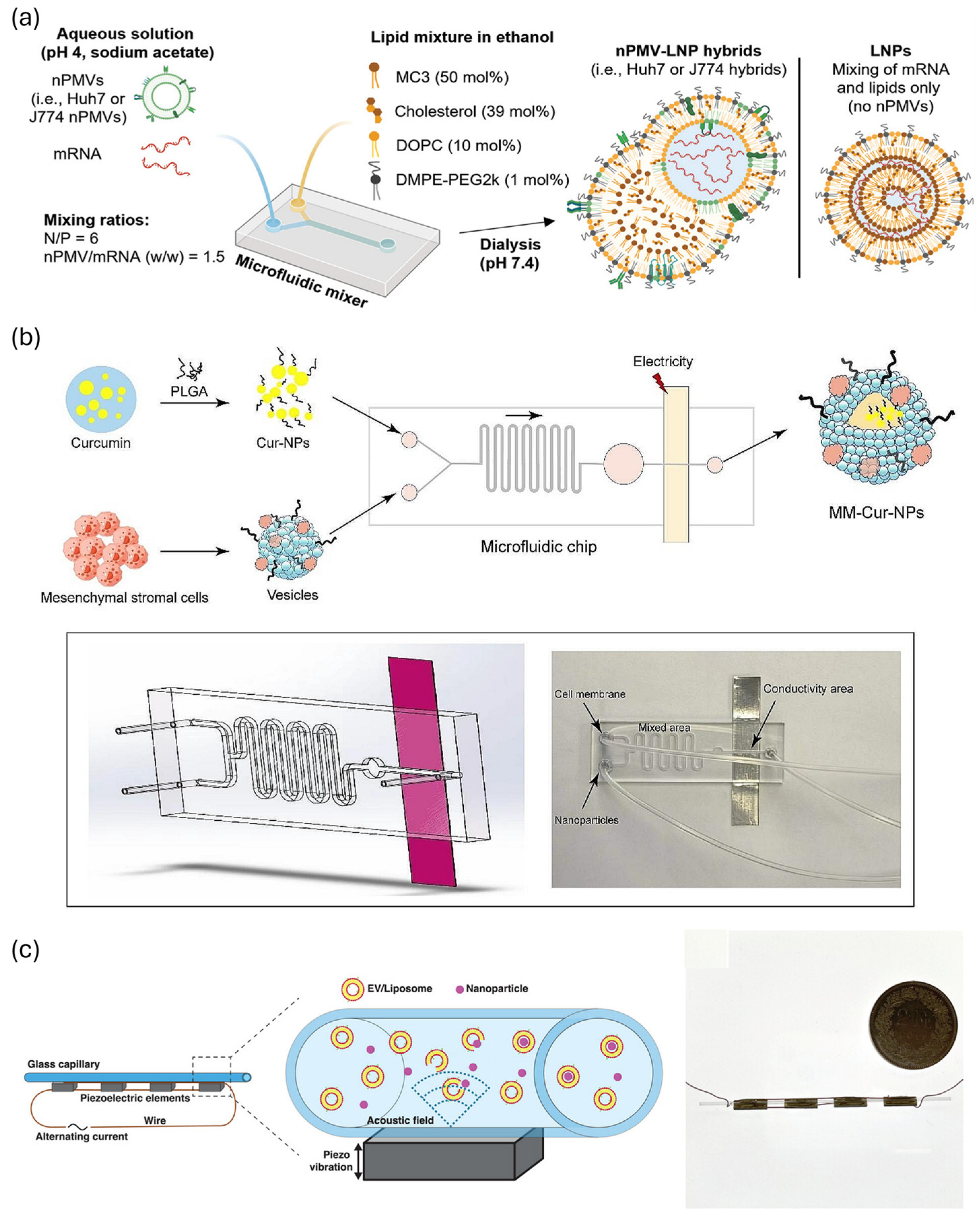 Biosensors 15 00504 g012