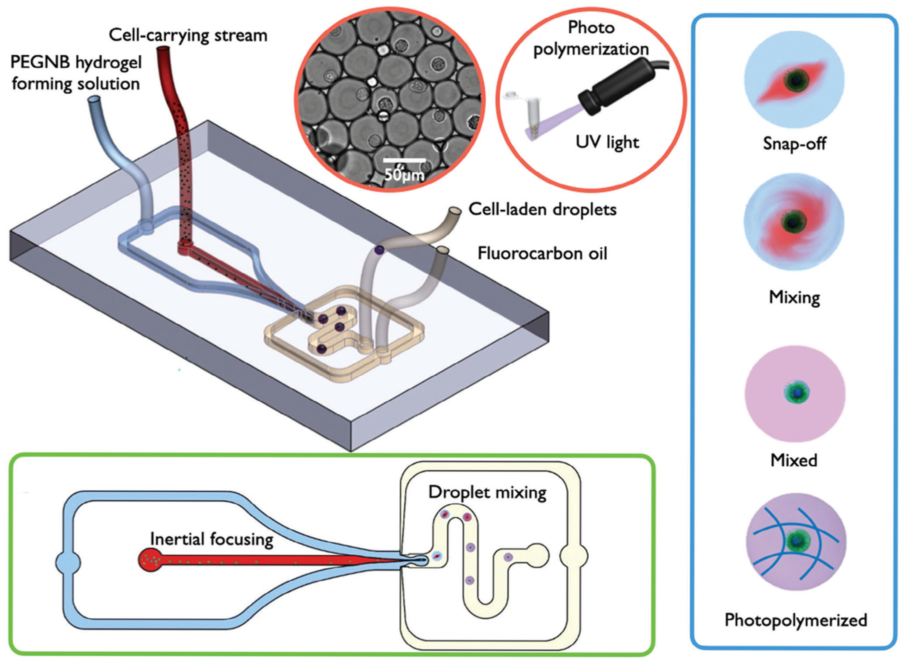 Biosensors 15 00504 g014