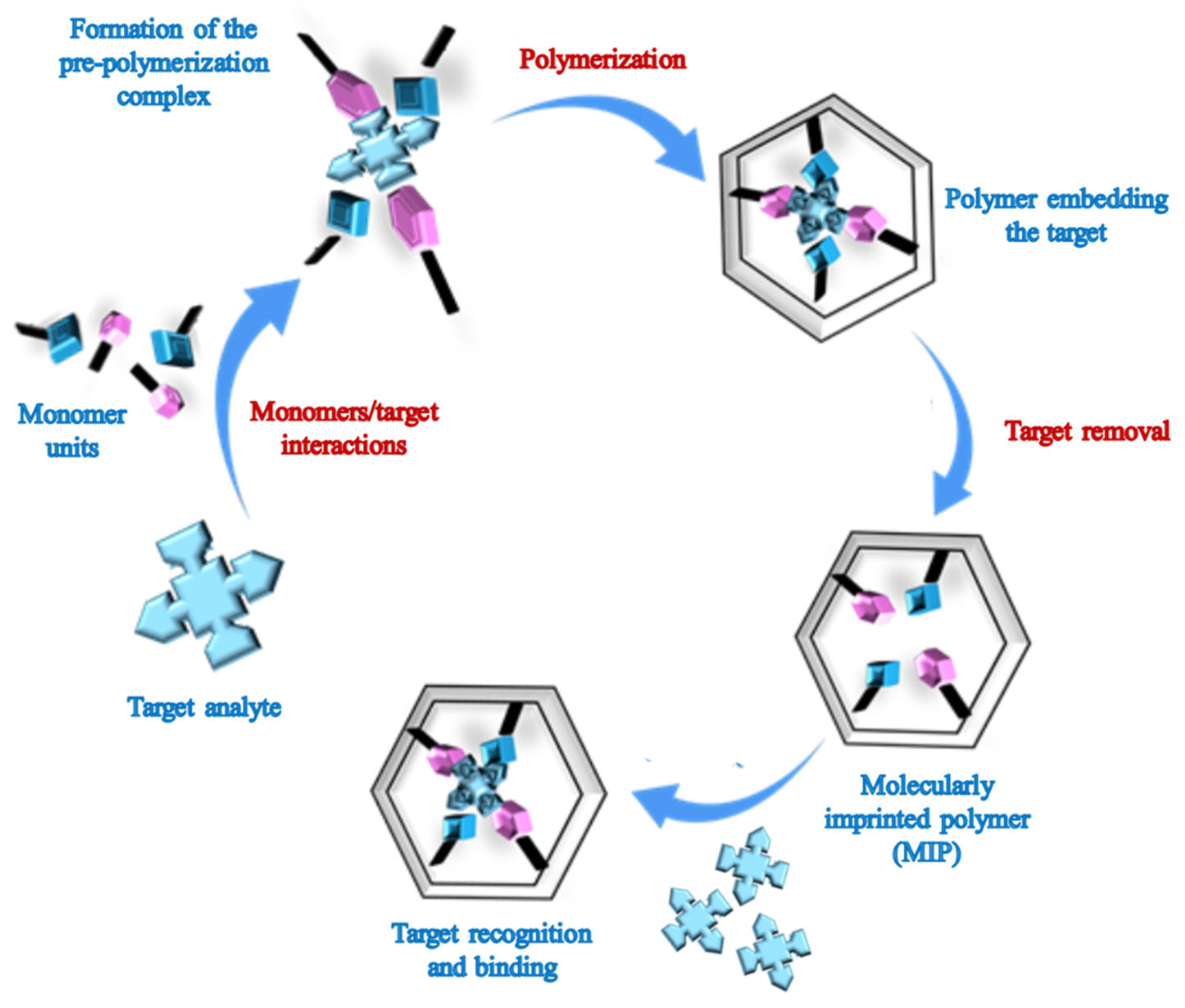 Biosensors 15 00509 g001