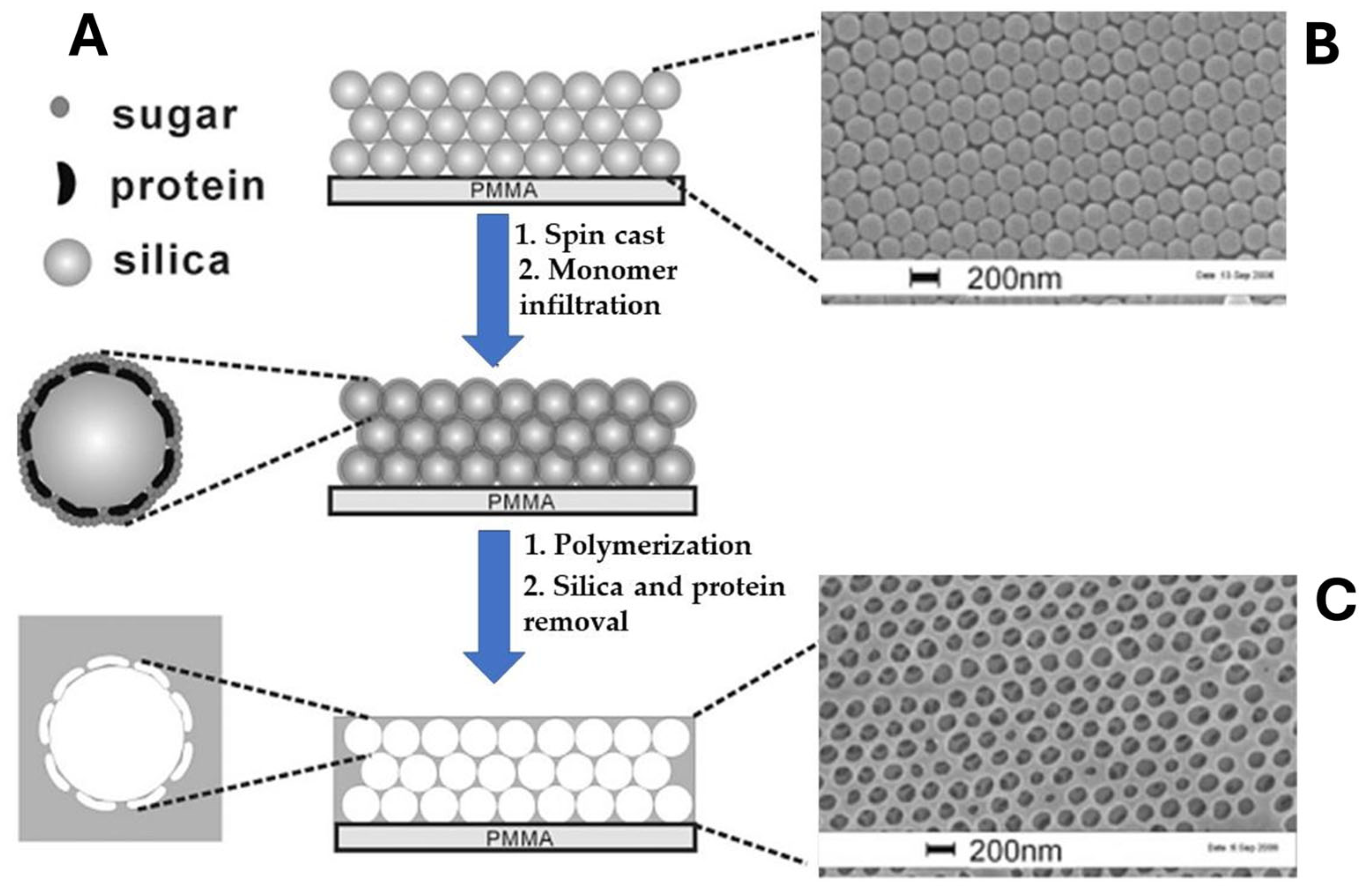 Biosensors 15 00509 g002