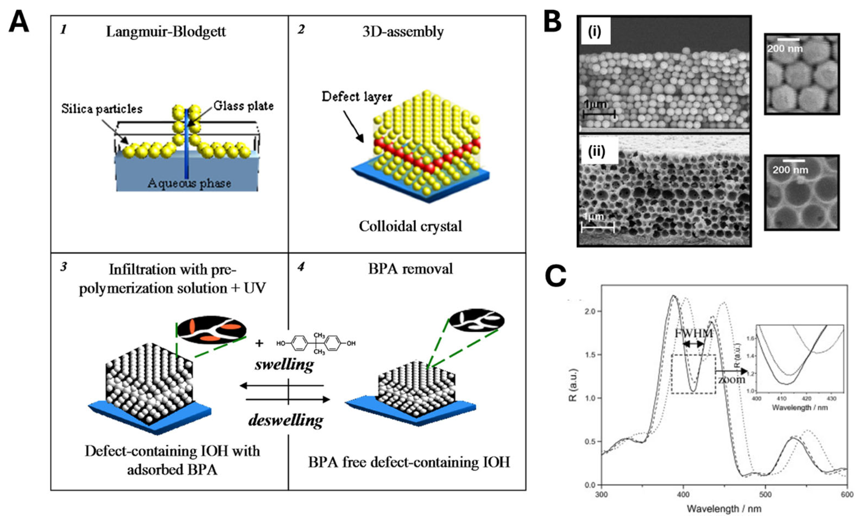 Biosensors 15 00509 g003