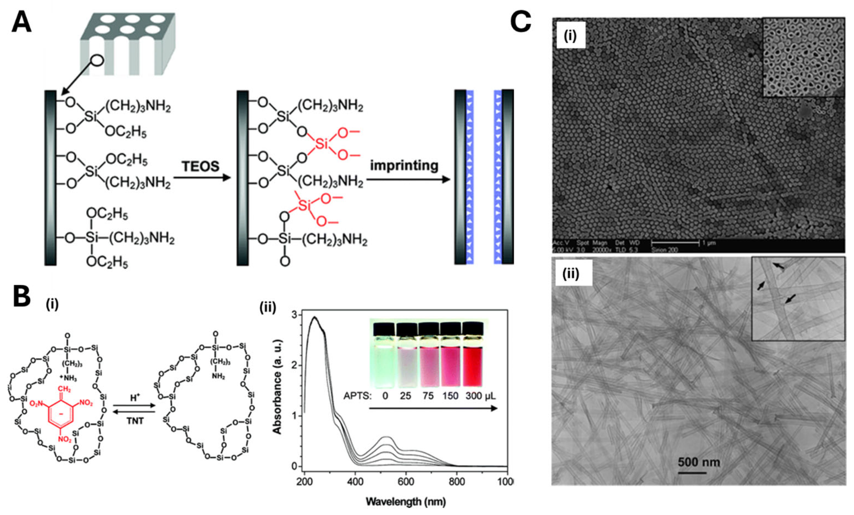 Biosensors 15 00509 g004