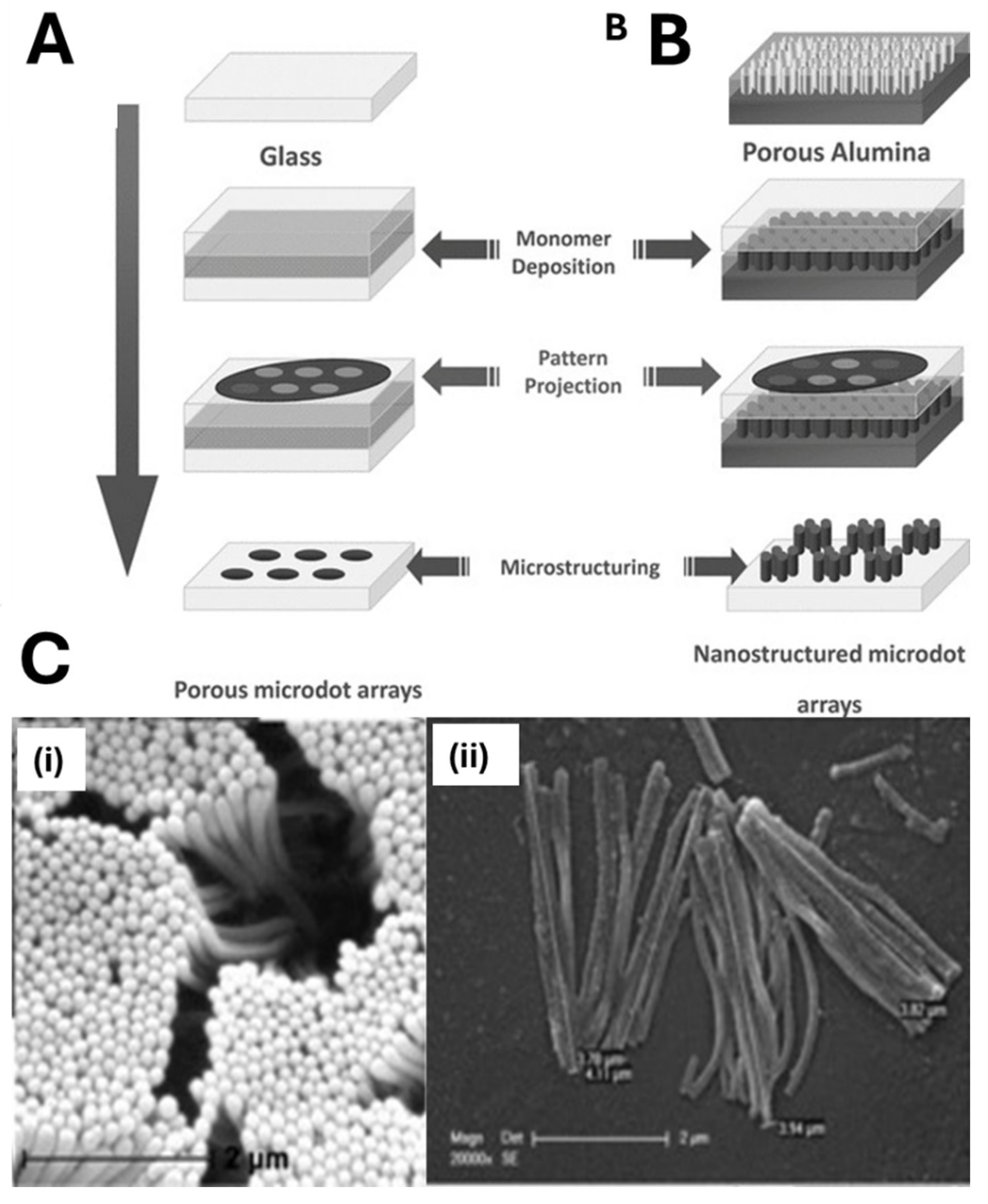Biosensors 15 00509 g007