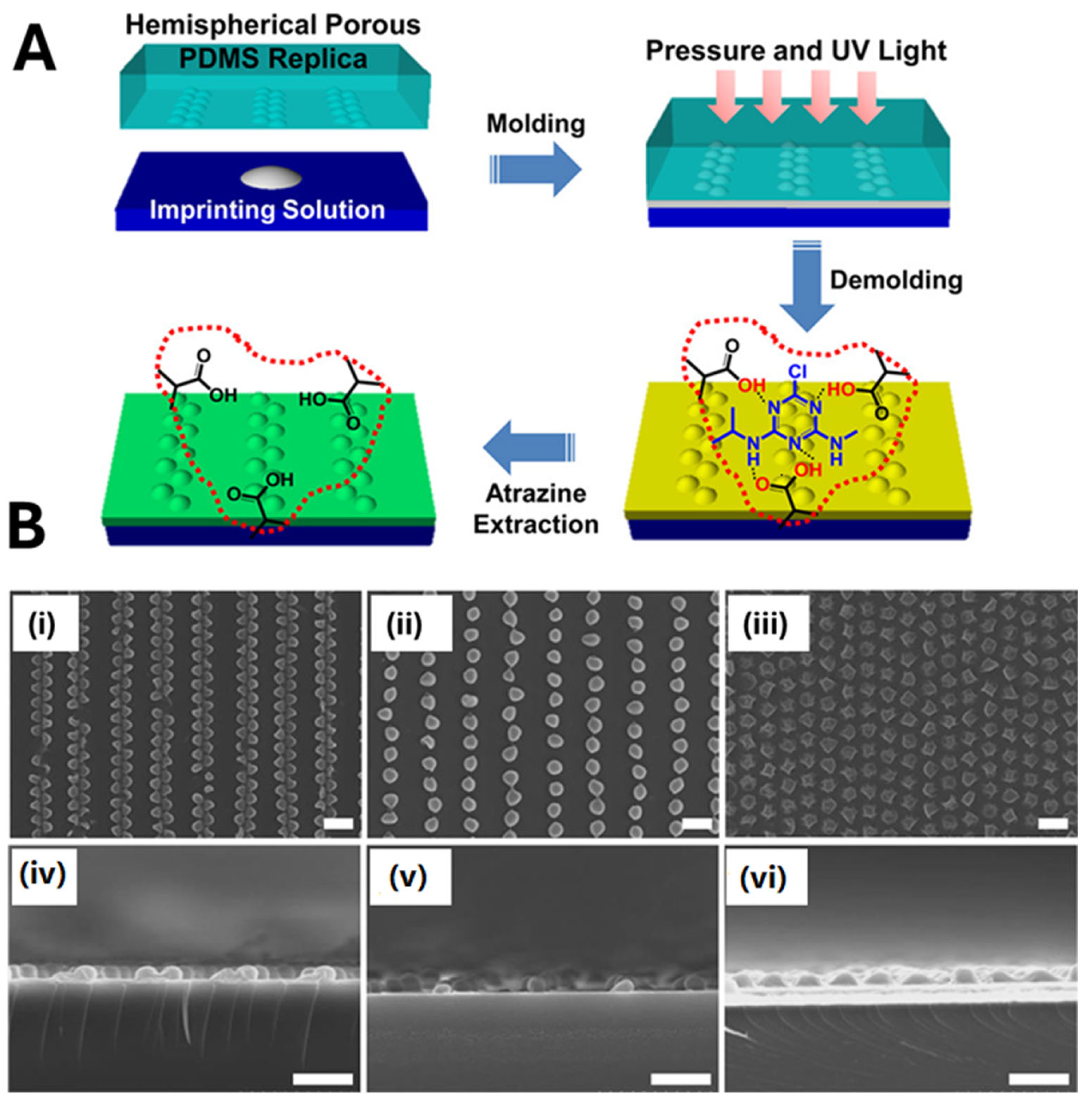 Biosensors 15 00509 g008