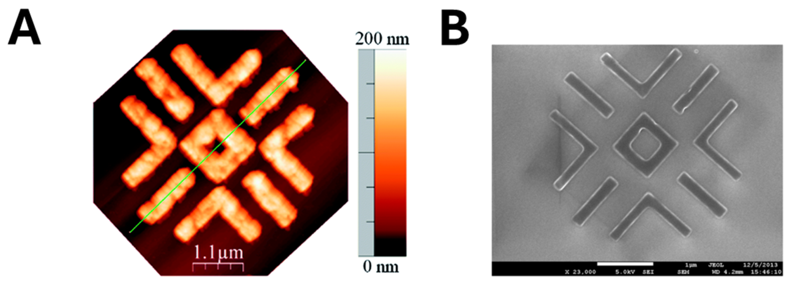 Biosensors 15 00509 g009