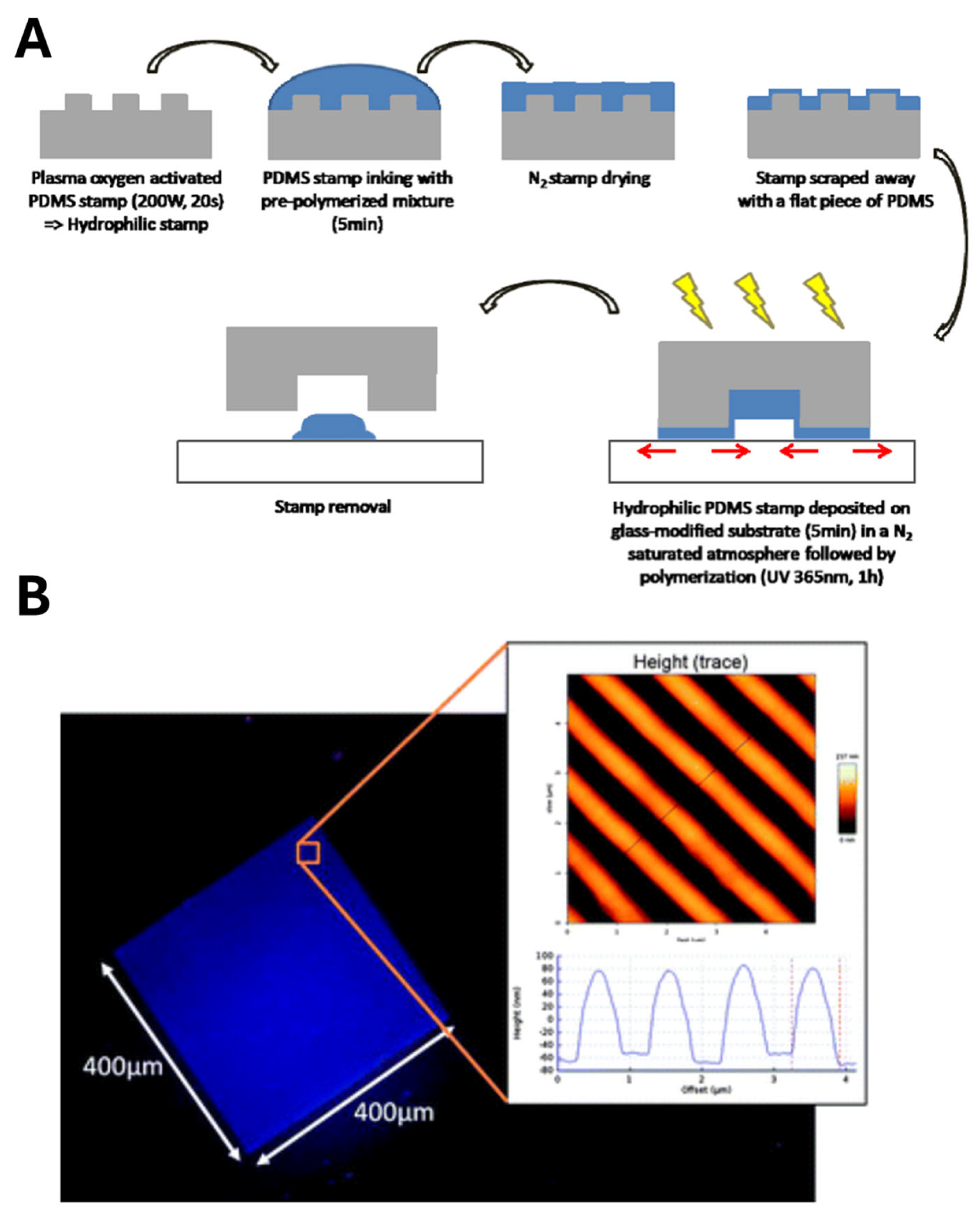 Biosensors 15 00509 g010