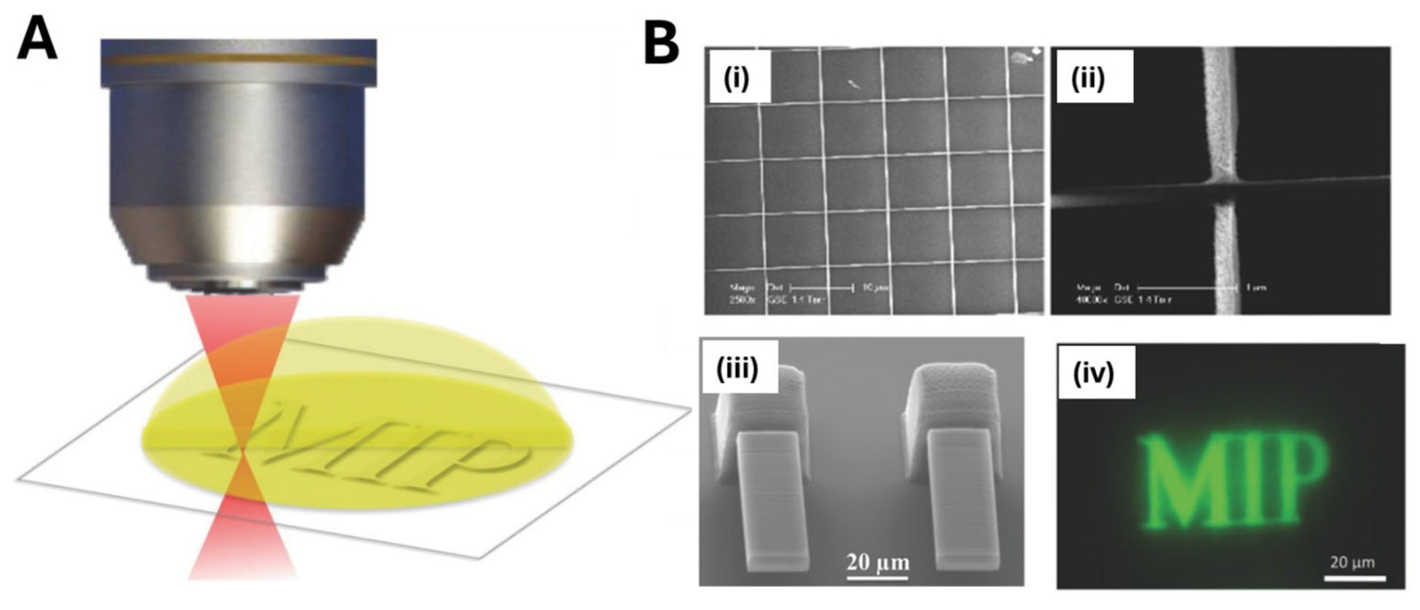 Biosensors 15 00509 g011