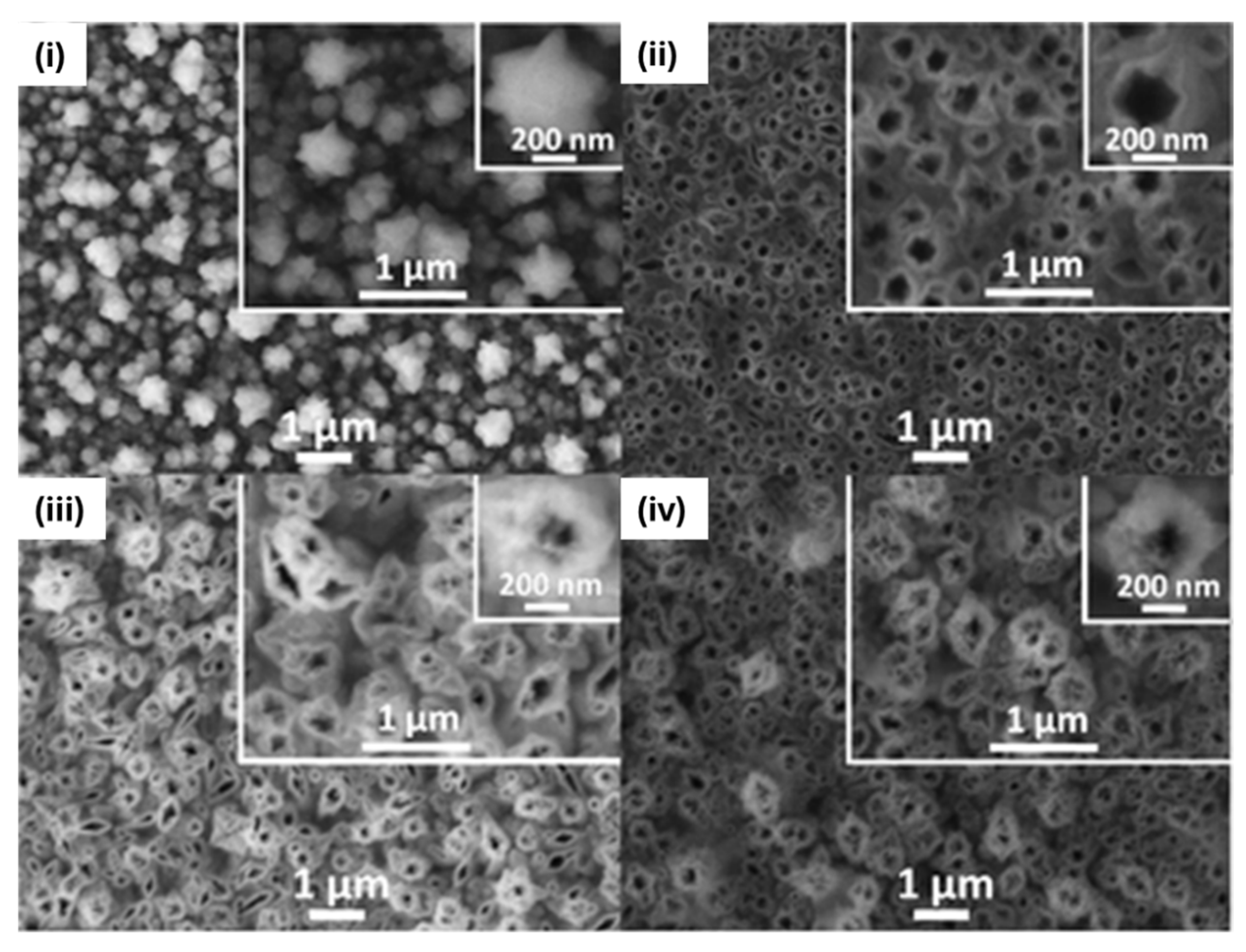 Biosensors 15 00509 g013
