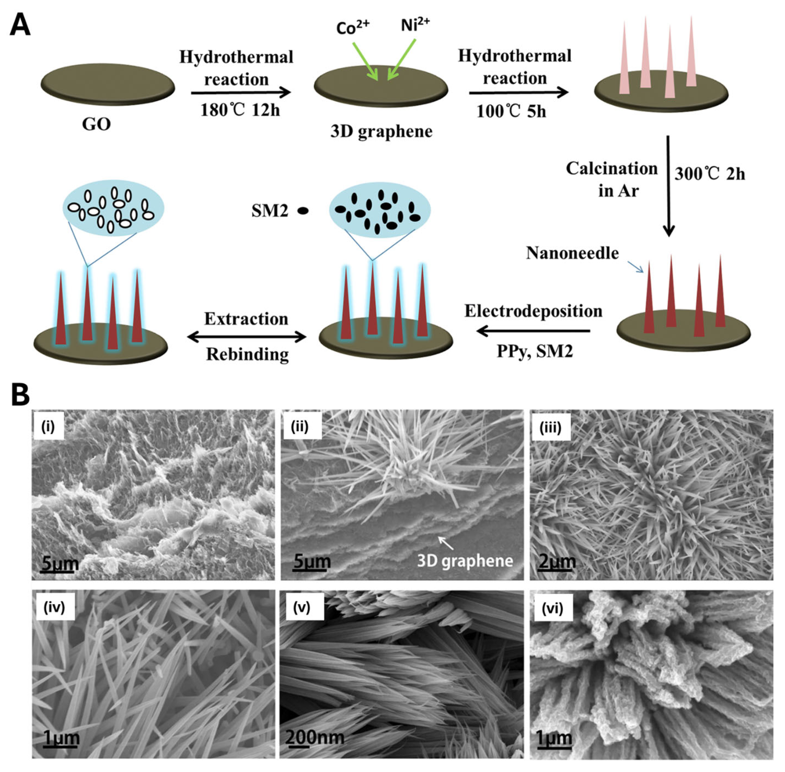 Biosensors 15 00509 g014