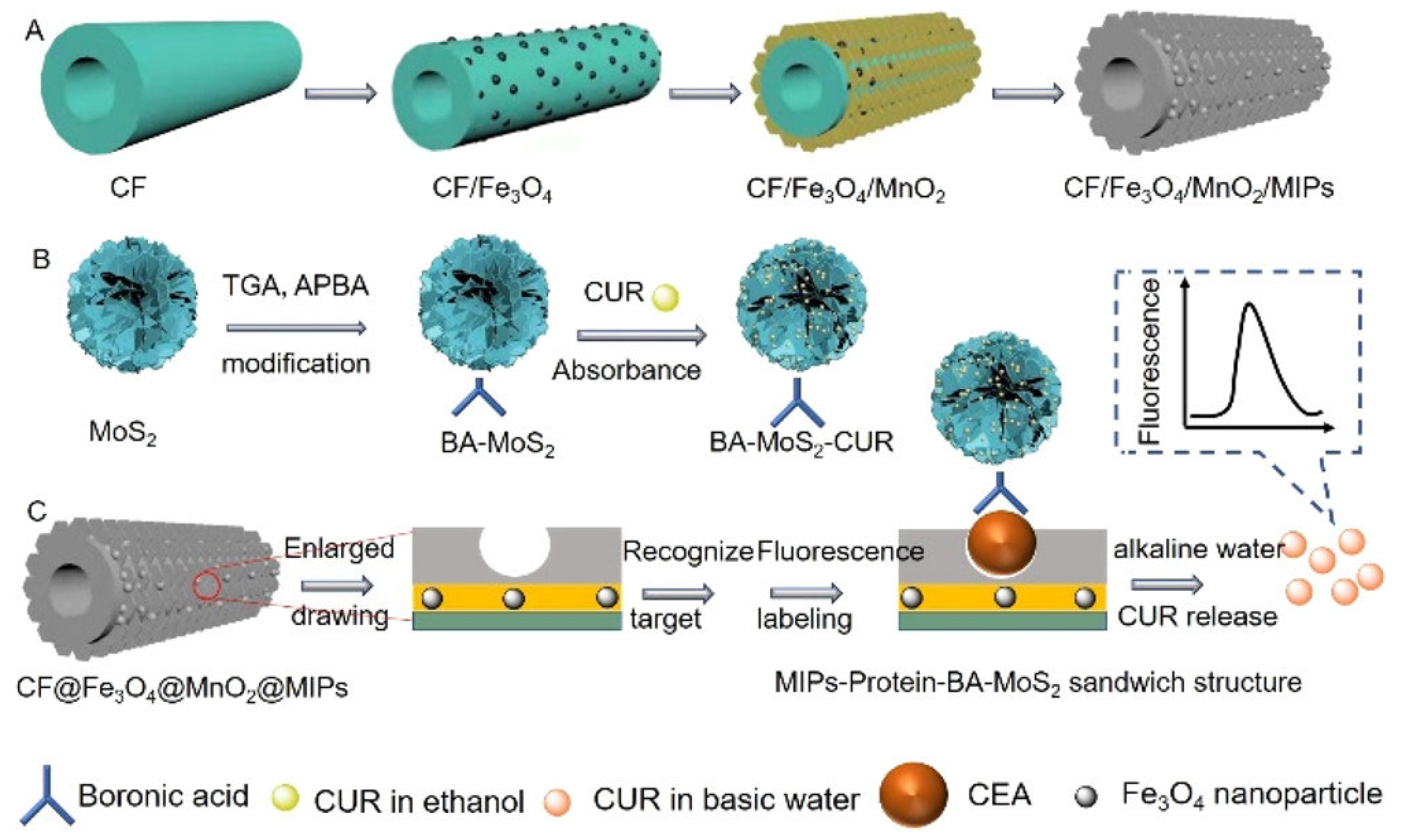 Biosensors 15 00509 g016