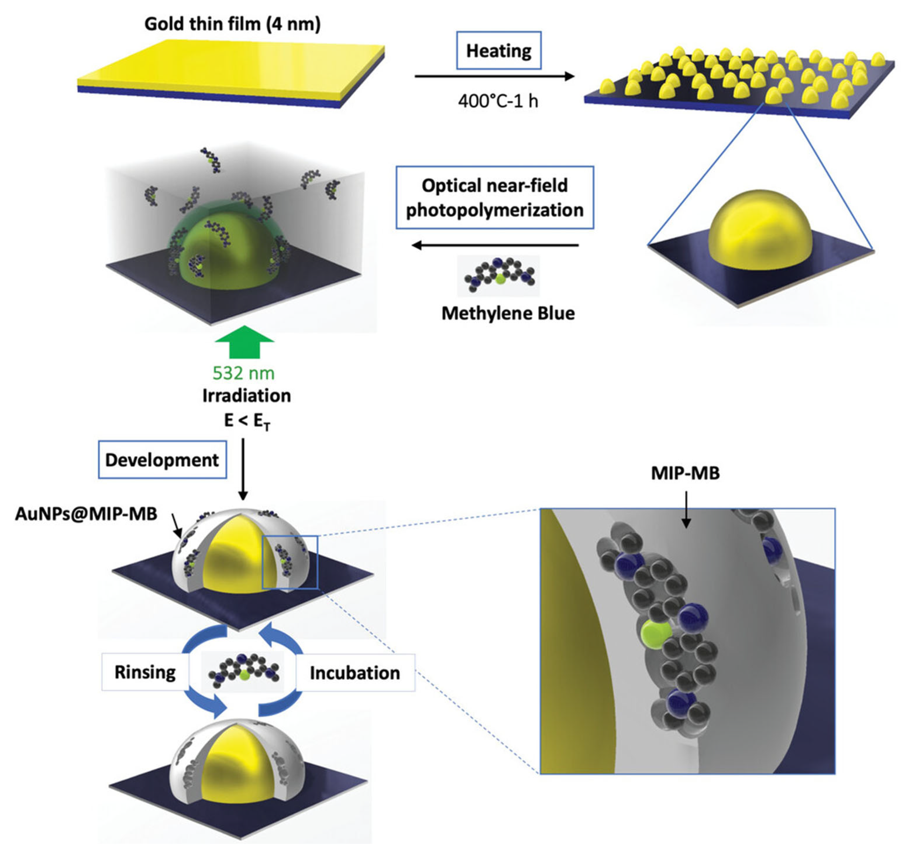 Biosensors 15 00509 g017