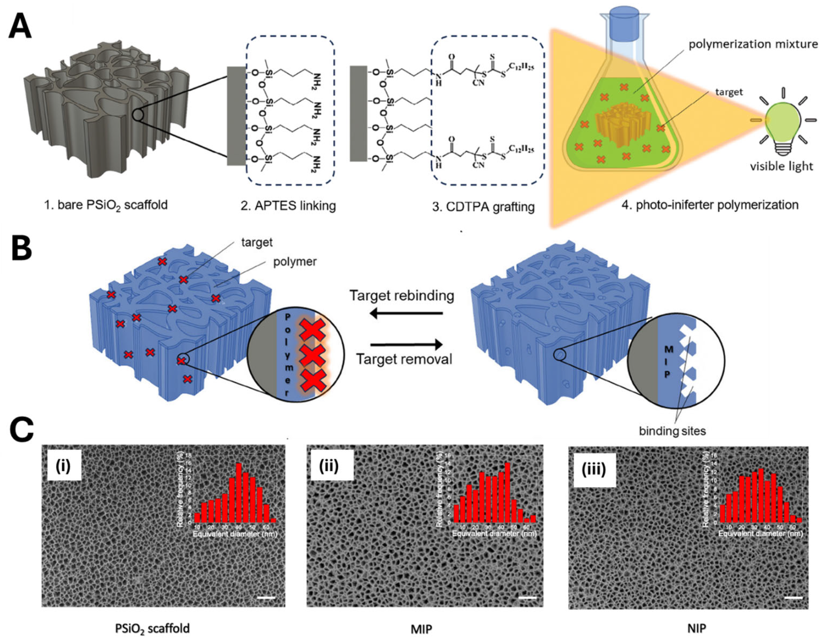 Biosensors 15 00509 g018