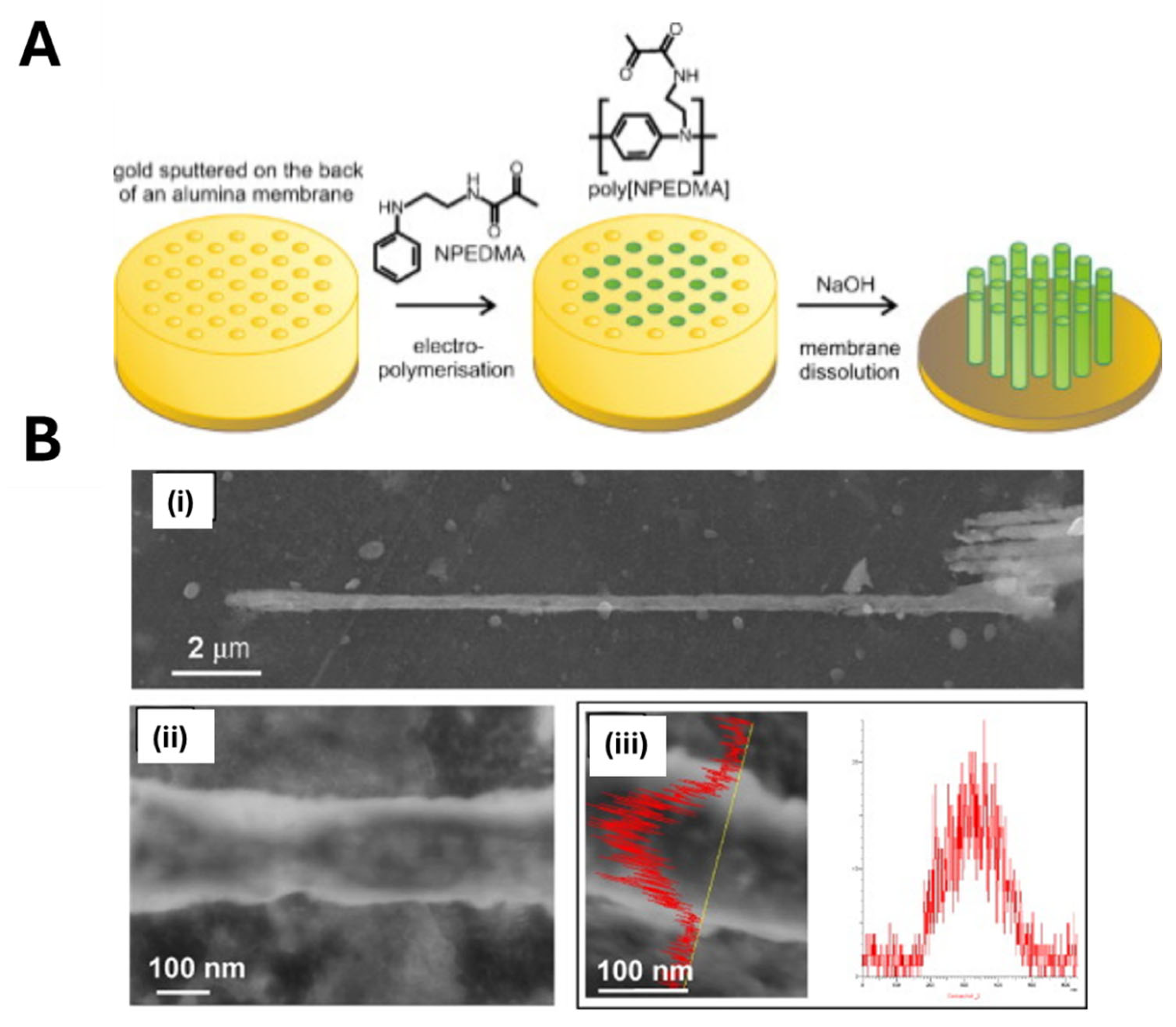Biosensors 15 00509 g019