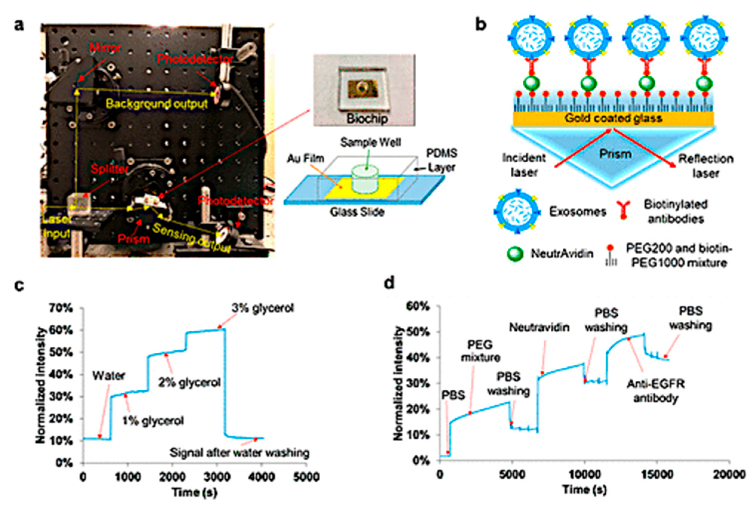 Biosensors 15 00511 g005 Biosensors 15 00511 g005