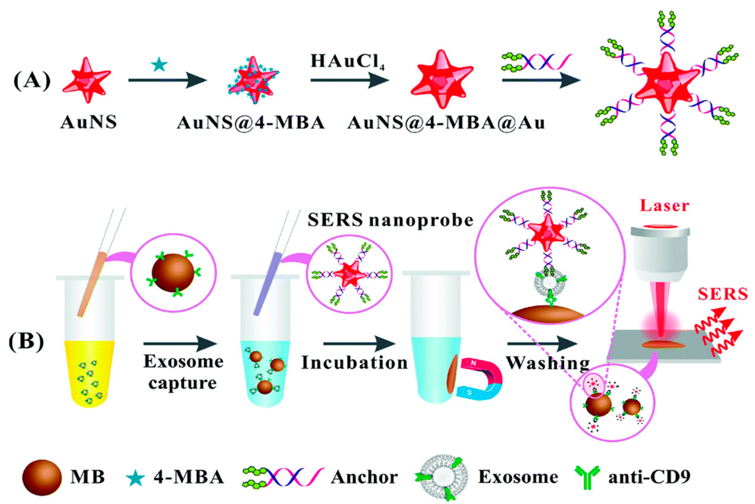 Biosensors 15 00511 g008 Biosensors 15 00511 g008