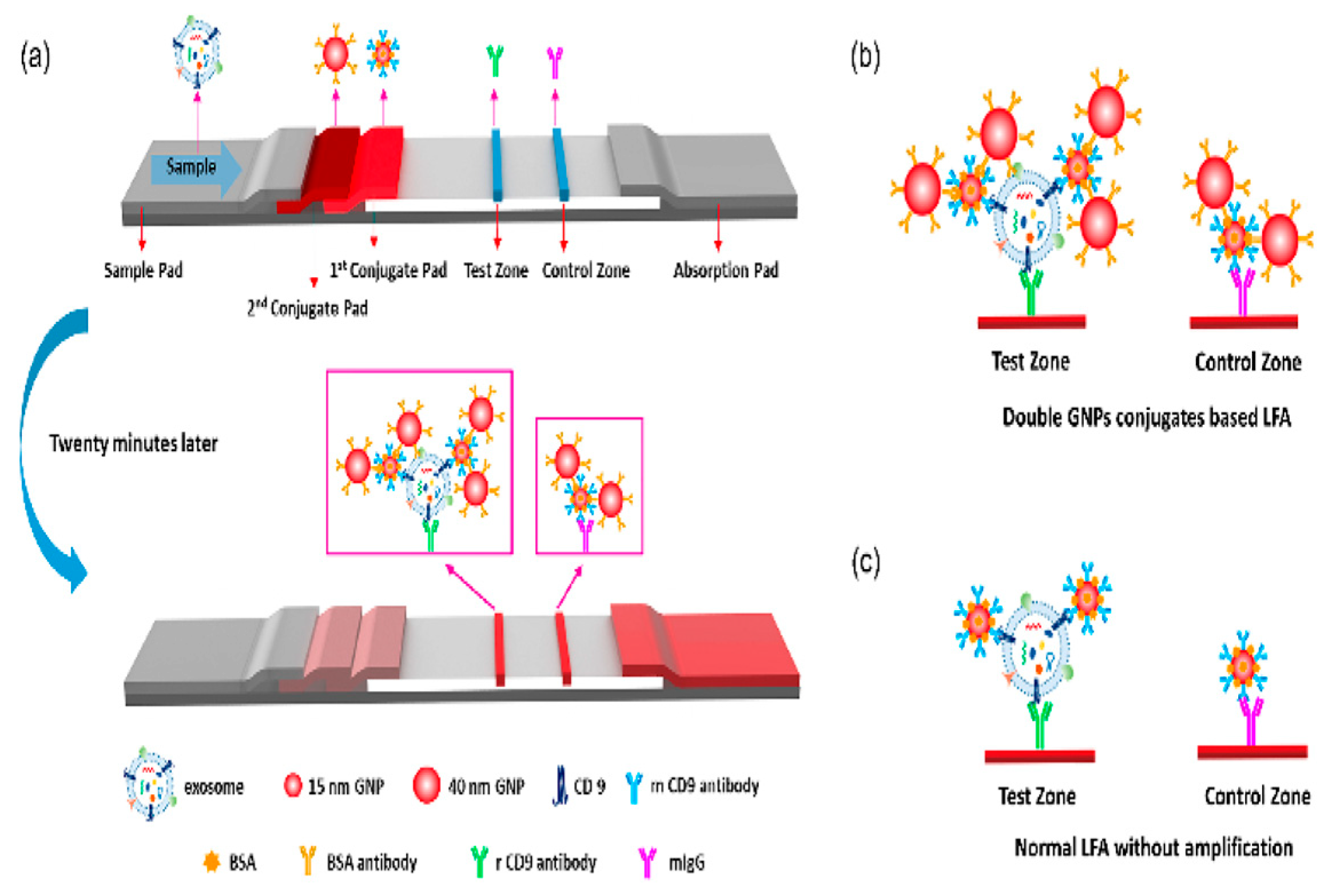 Biosensors 15 00511 g012 Biosensors 15 00511 g012