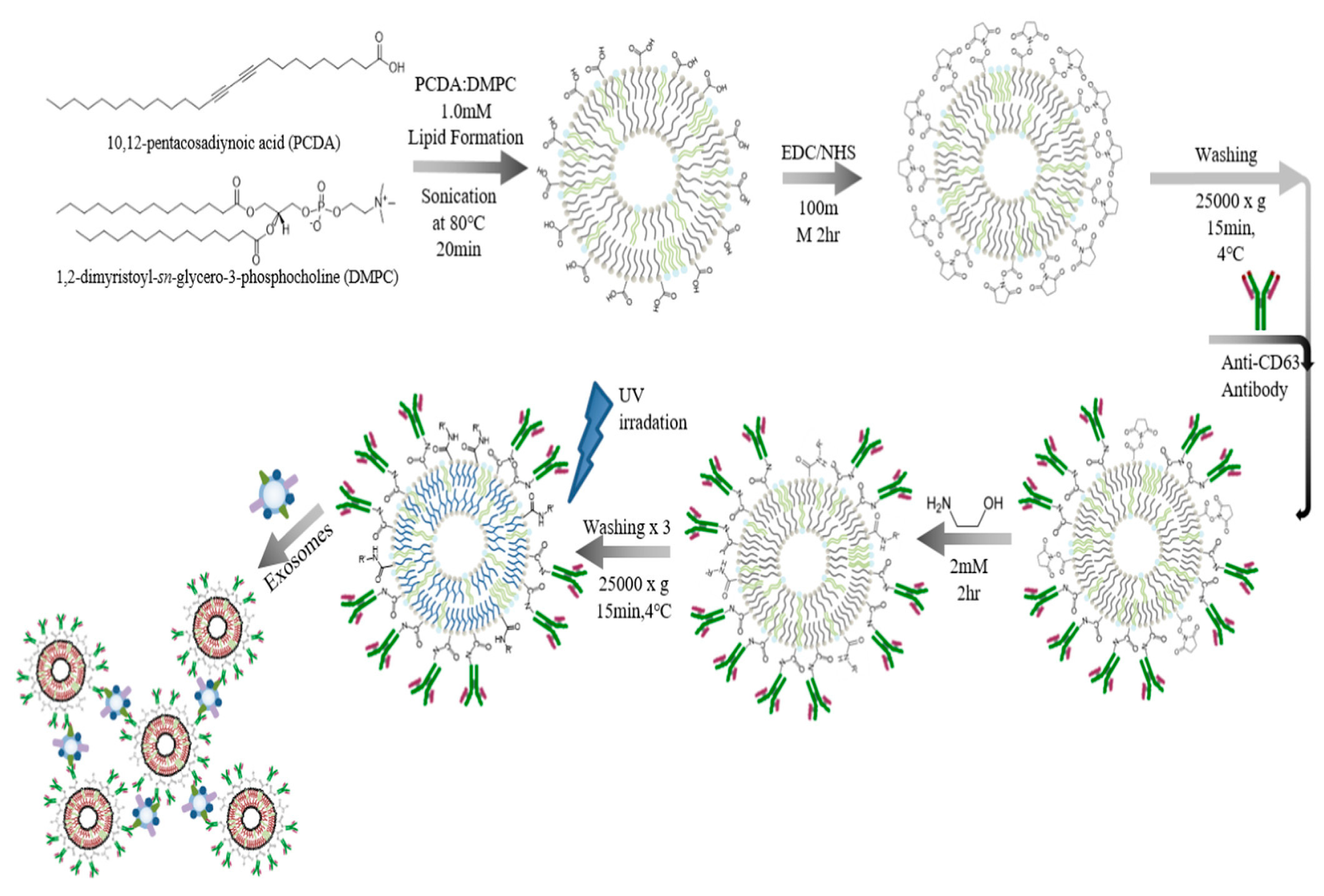 Biosensors 15 00511 g020 Biosensors 15 00511 g020
